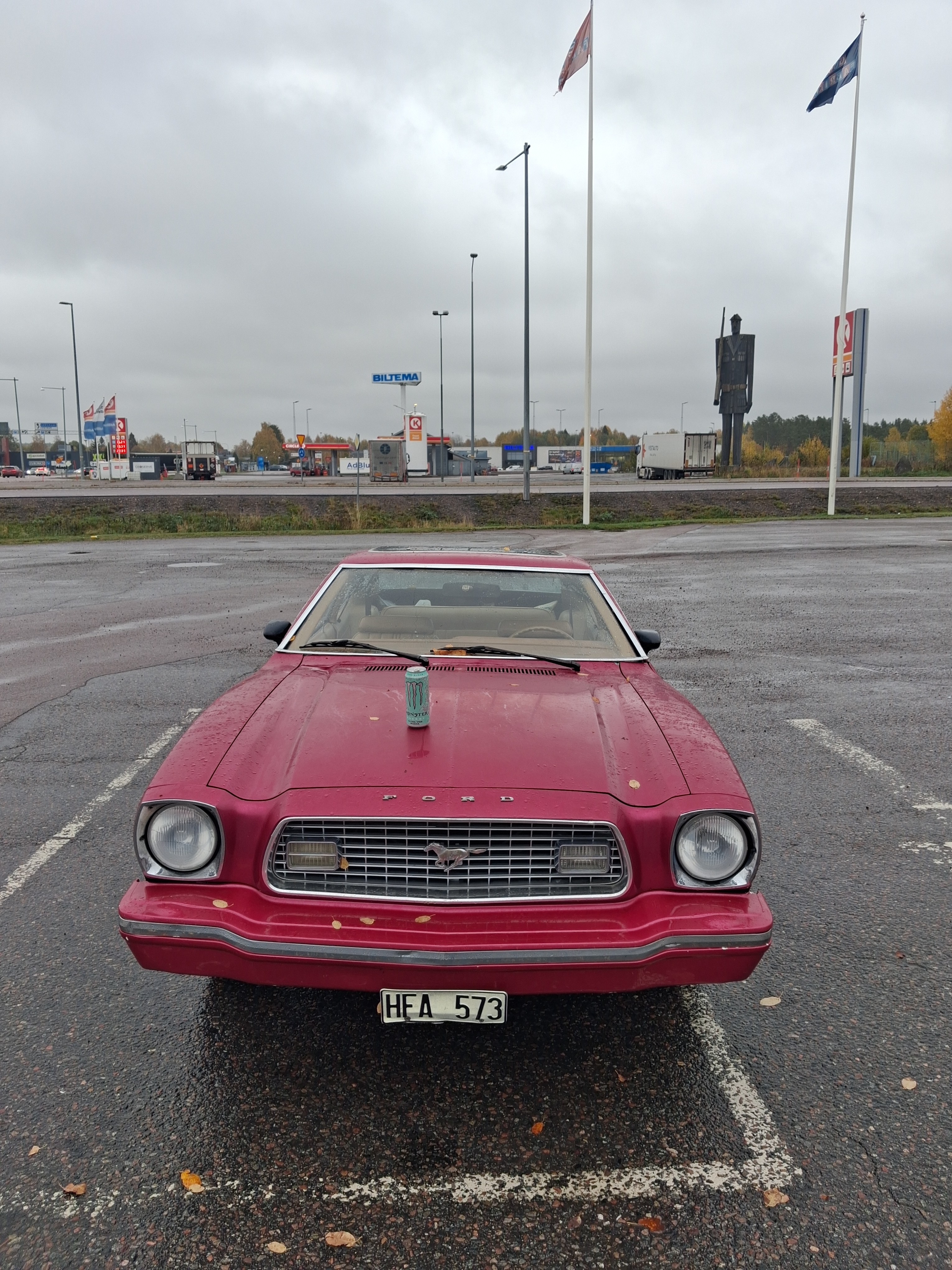 Ford Mustang 1974, bild 8/8