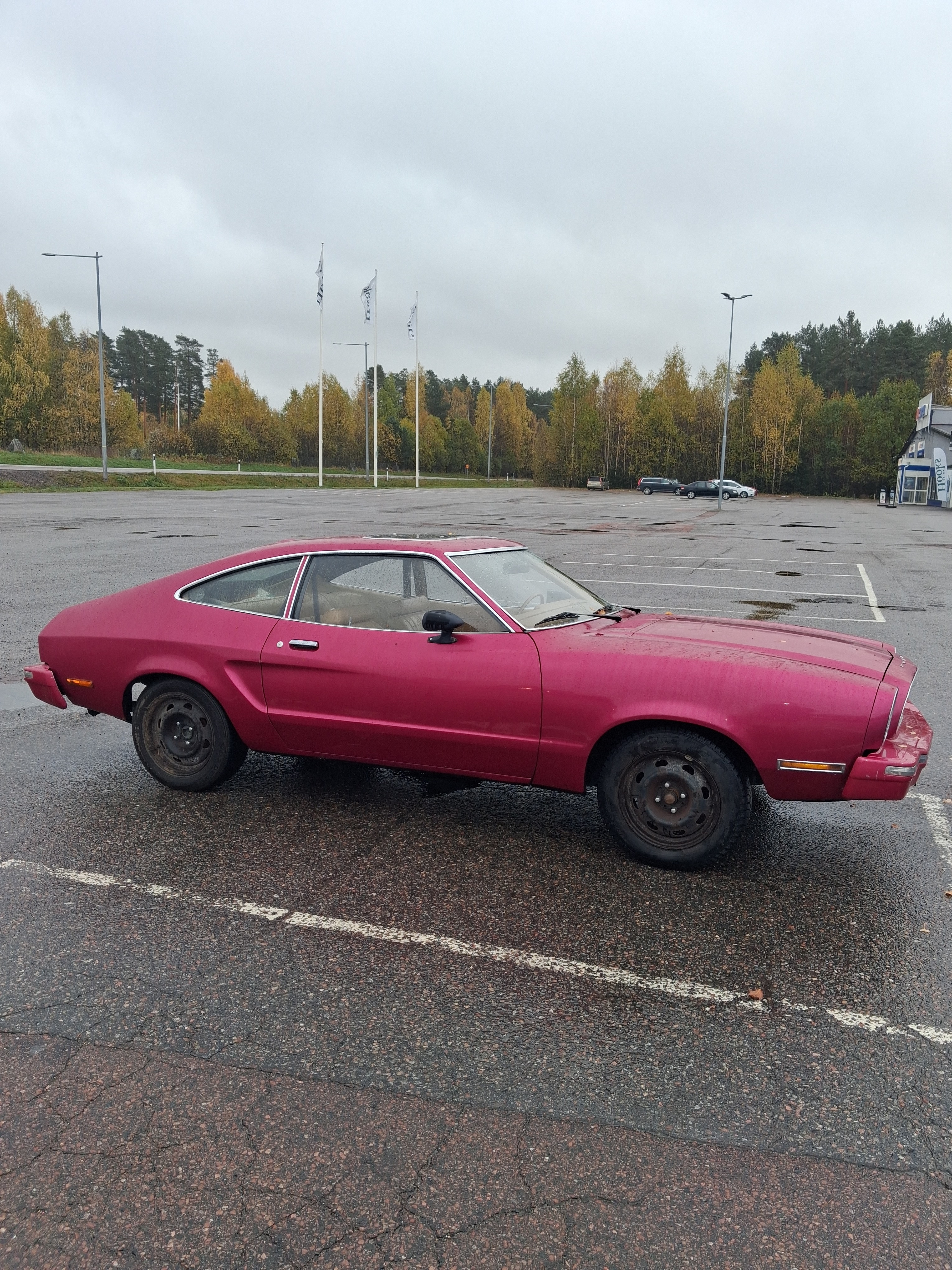 Ford Mustang 1974, bild 2/8