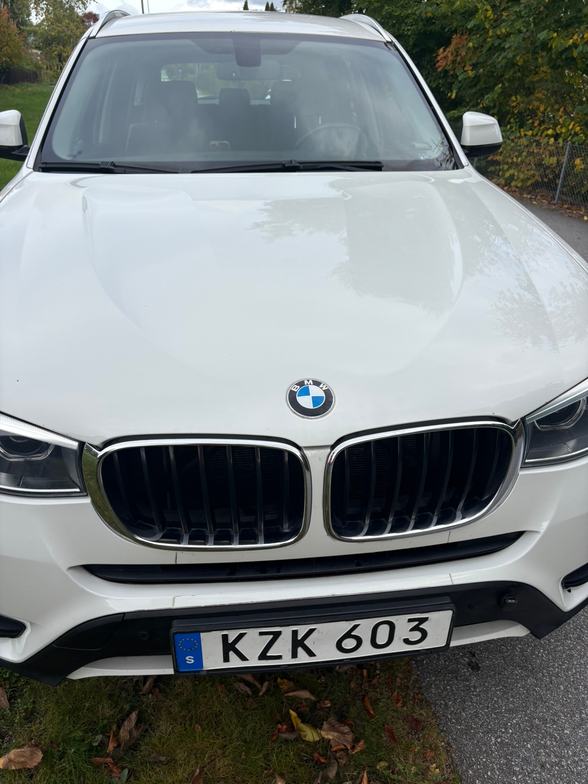BMW X3 20d 2016, bild 5/10