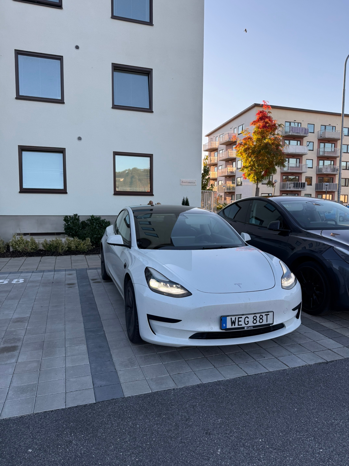 Tesla Model 3 Standard Range Plus 2021, bild 2/7