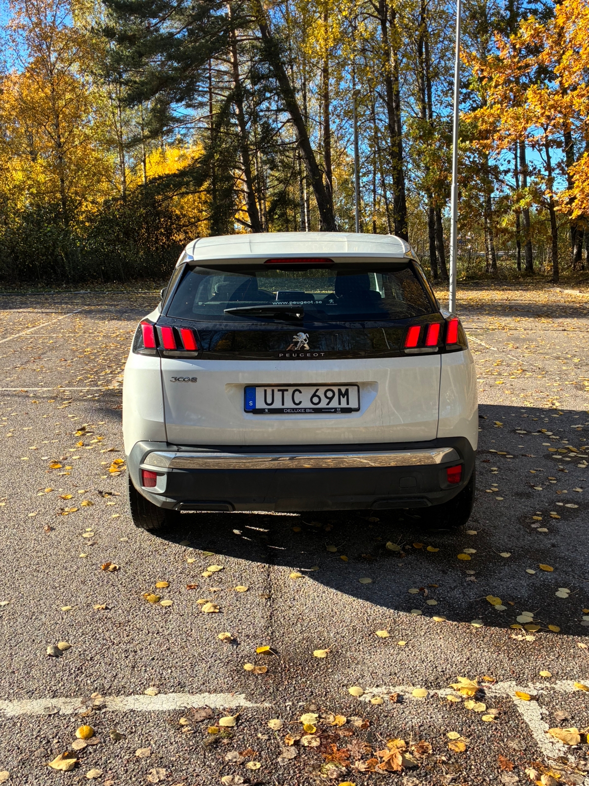 Peugeot 3008 1.2 PureTech 130 2020, bild 2/10