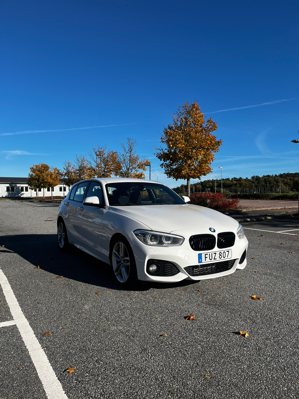 BMW 116d M Sport 2016, photo 2/8
