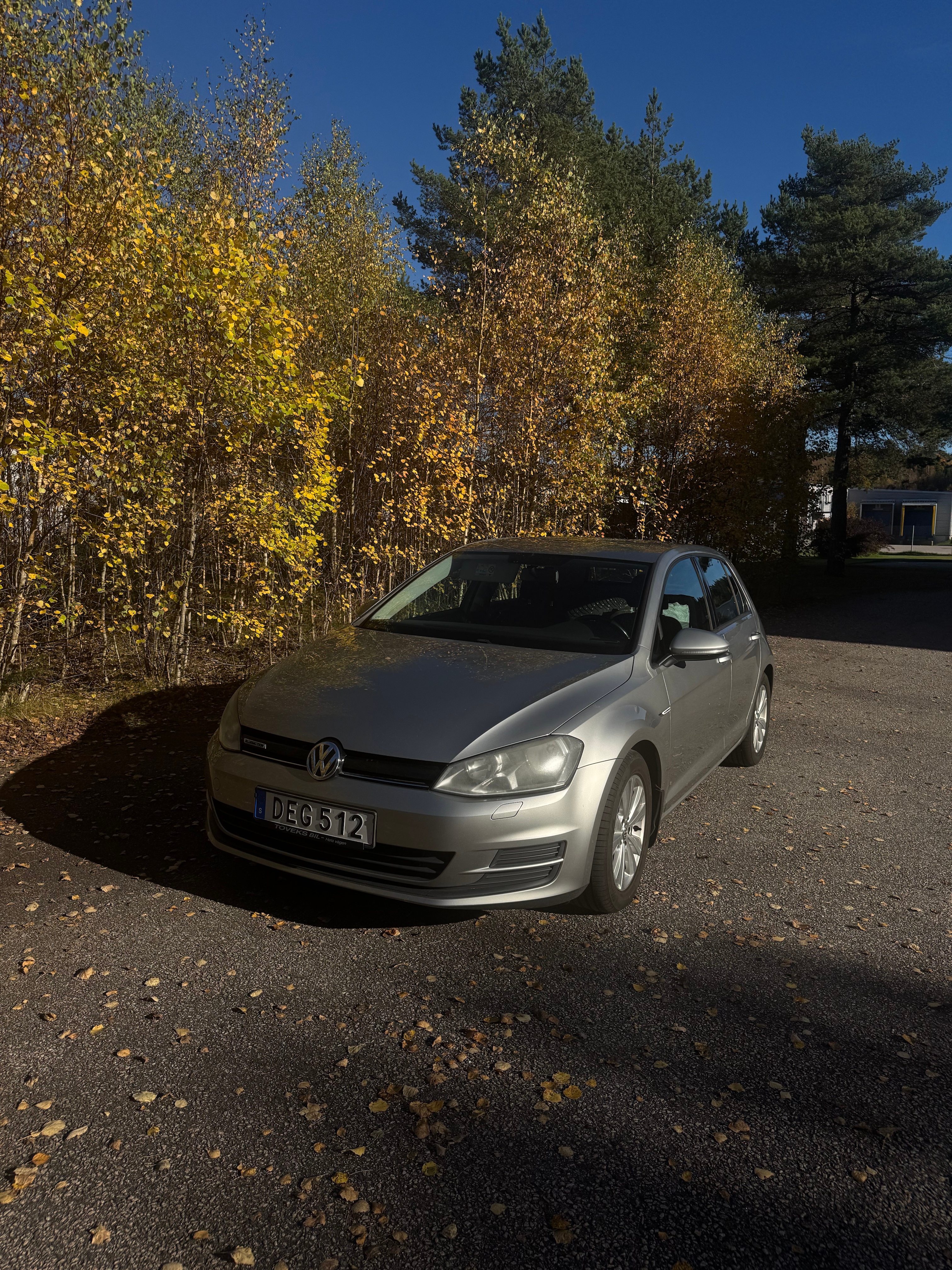 Volkswagen Golf 1.6 TDI 2015, bild 2/7