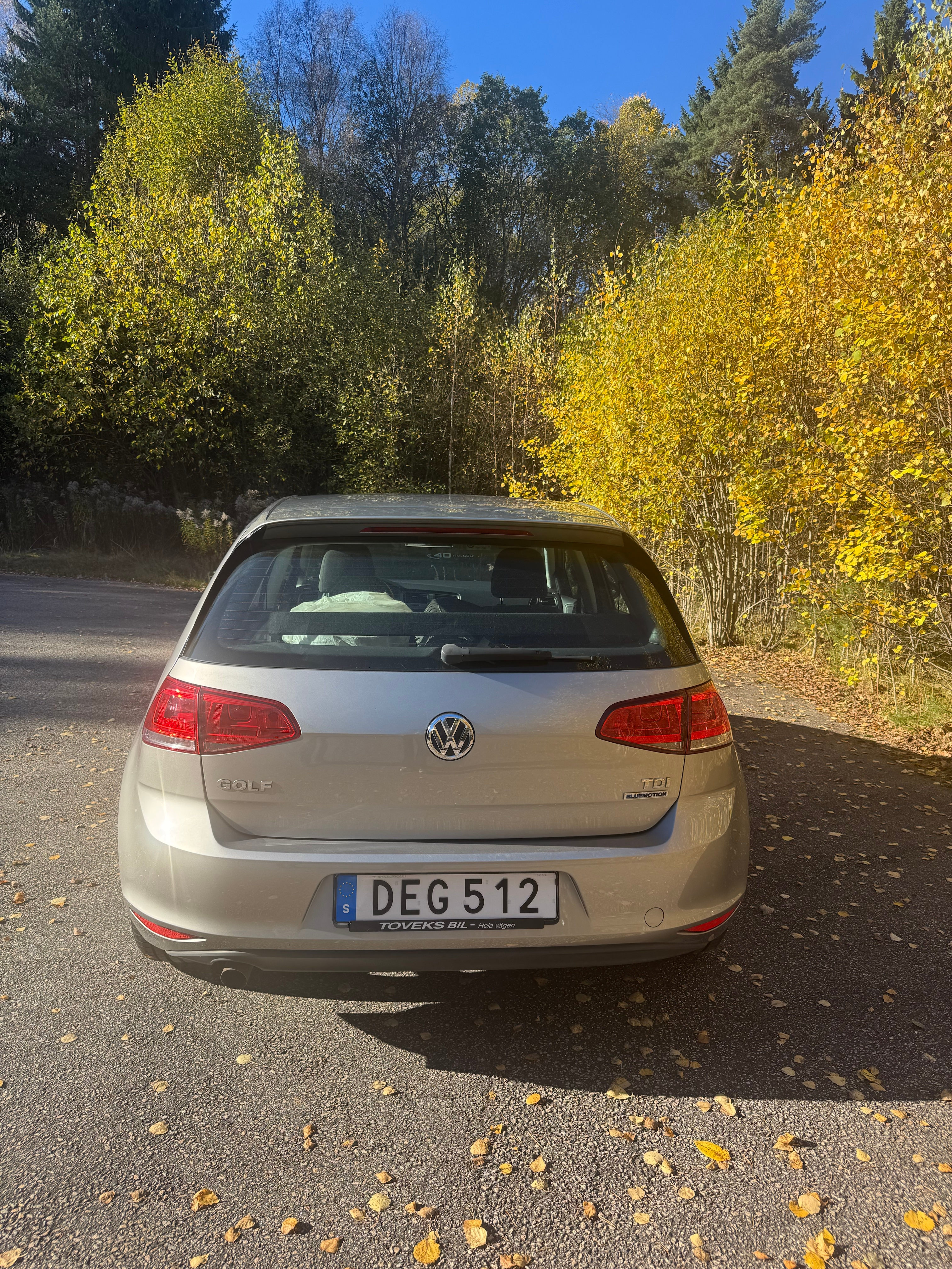 Volkswagen Golf 1.6 TDI 2015, bild 3/7