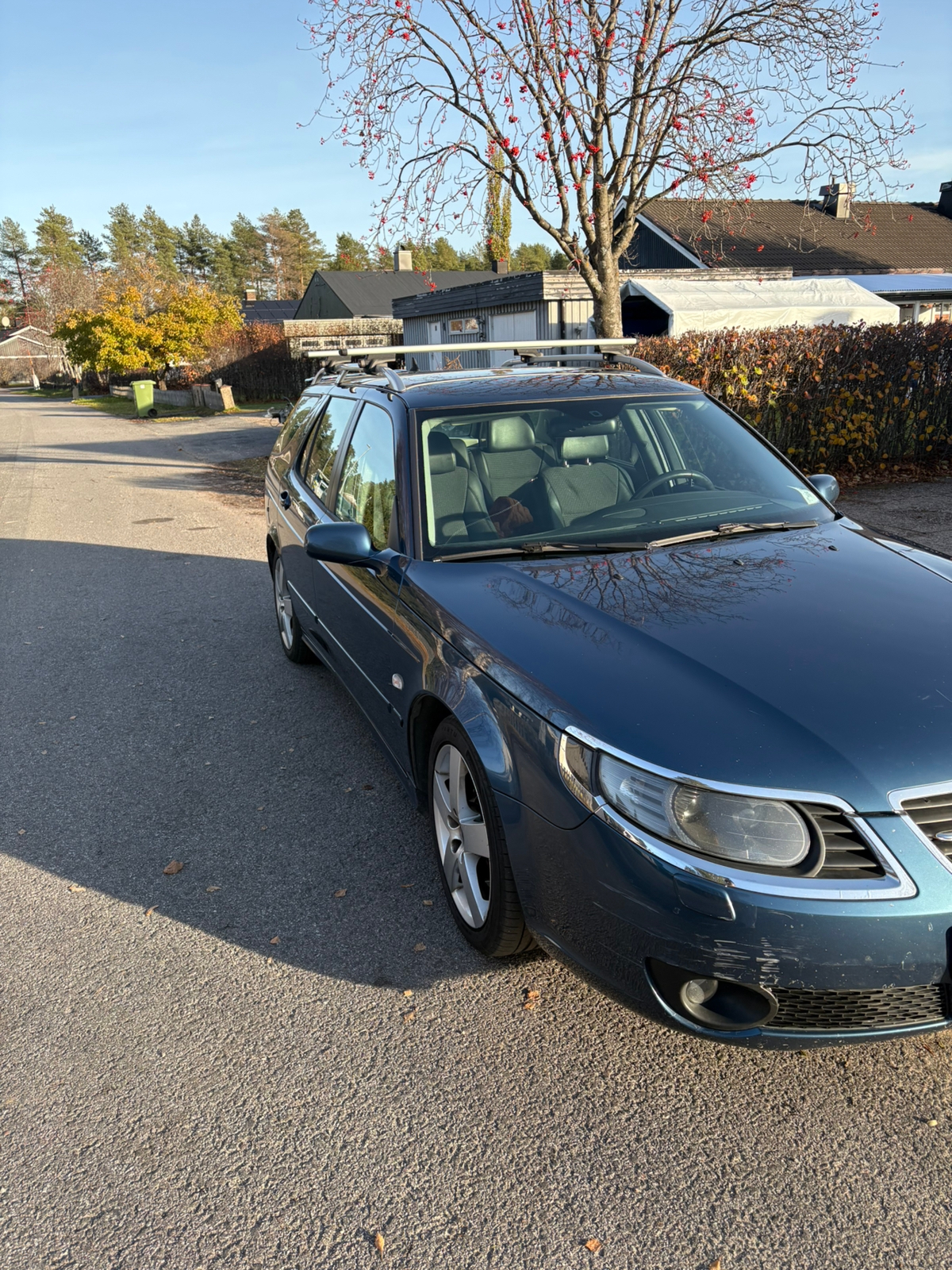 Saab 9-5 2008, photo 3/10