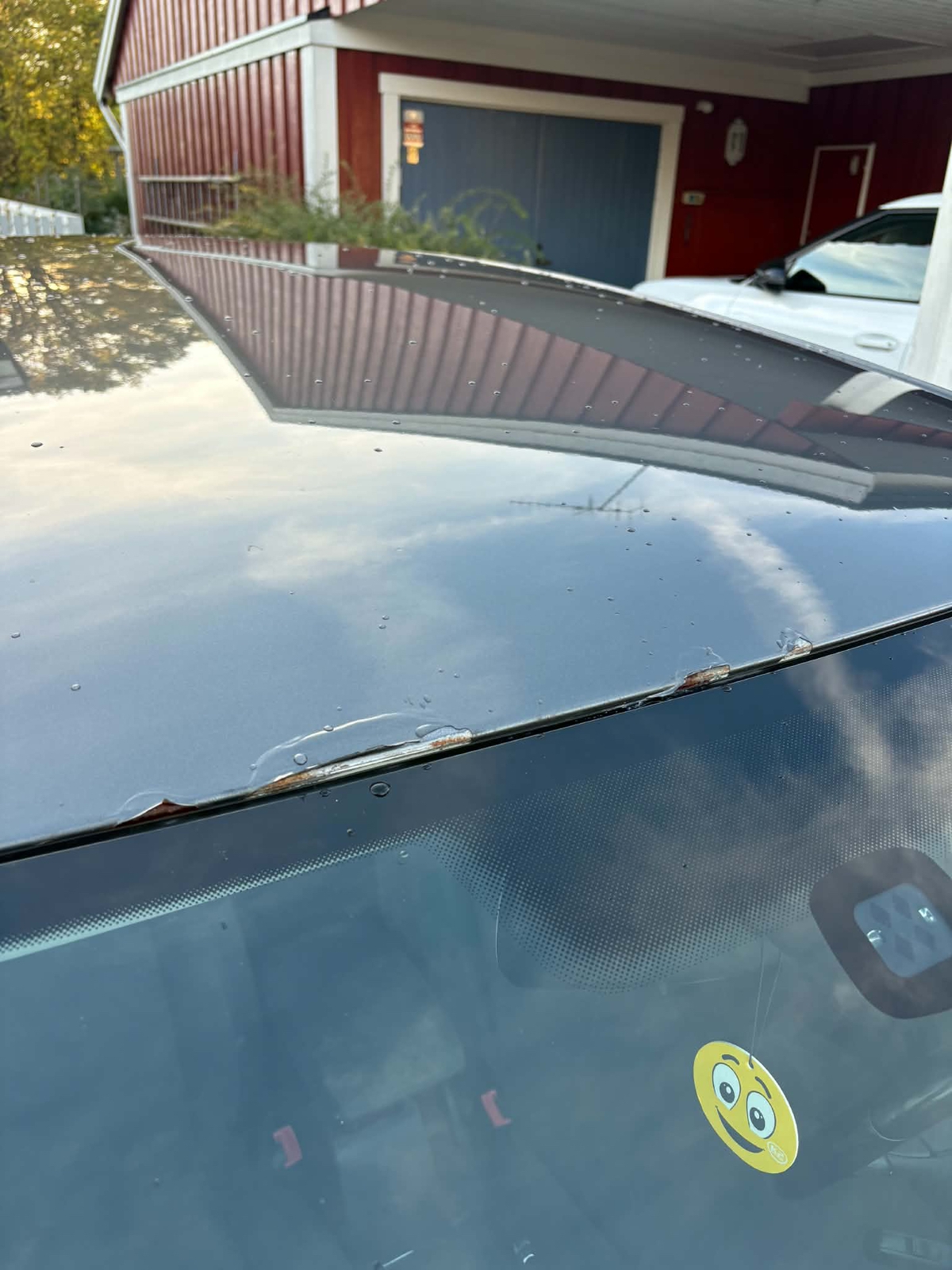 Volkswagen Golf 1.6 TDI 2013, bild 6/6
