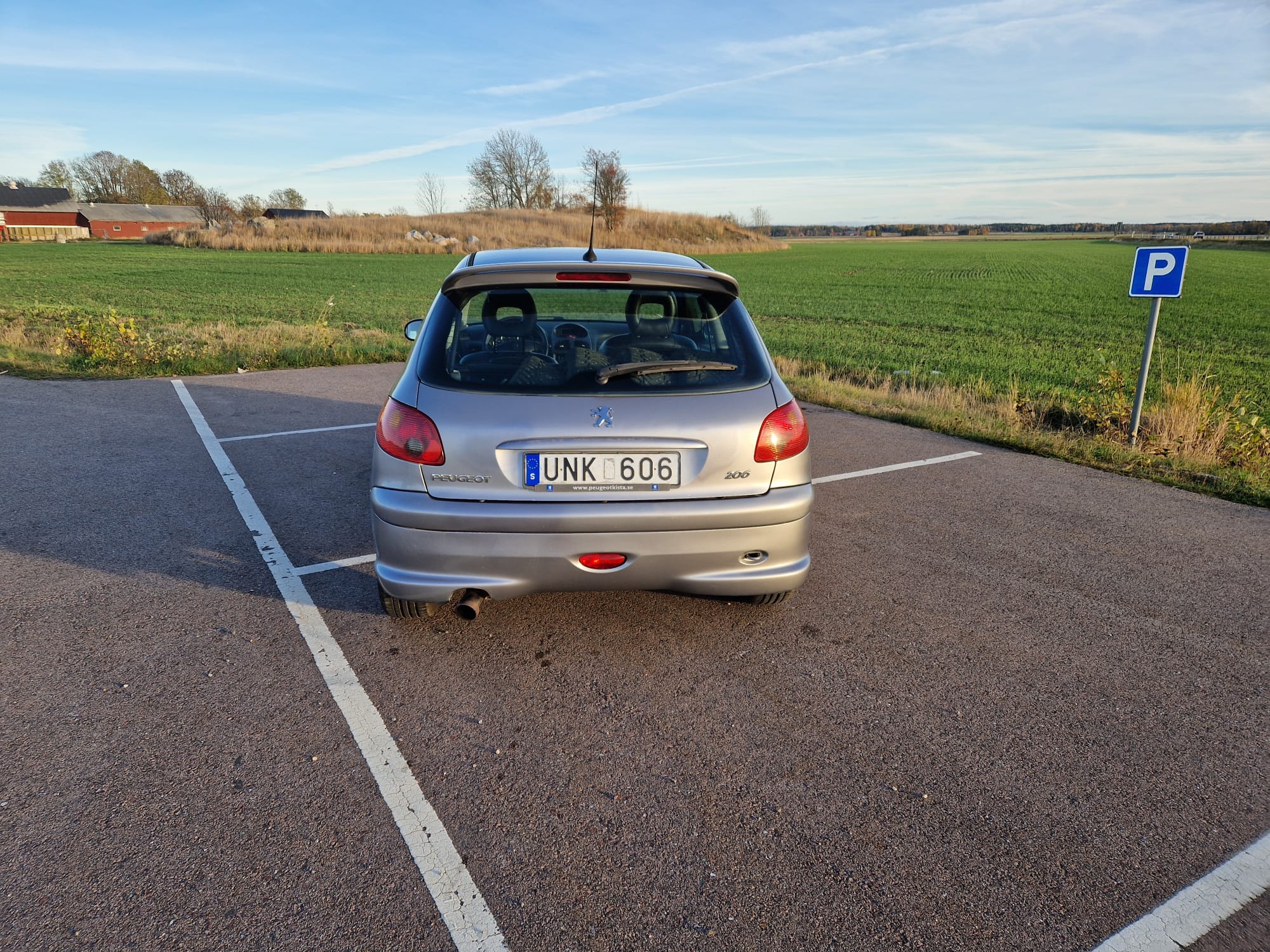 Peugeot 206 2004, bild 4/9