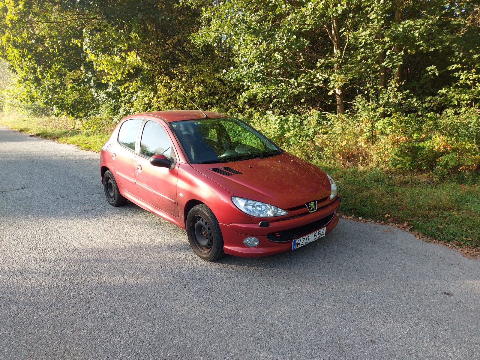 Peugeot 206