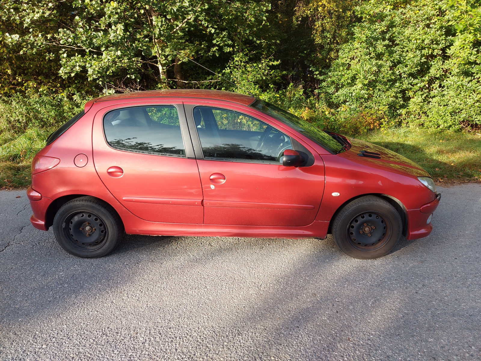 Peugeot 206 75 2006, photo 4/4