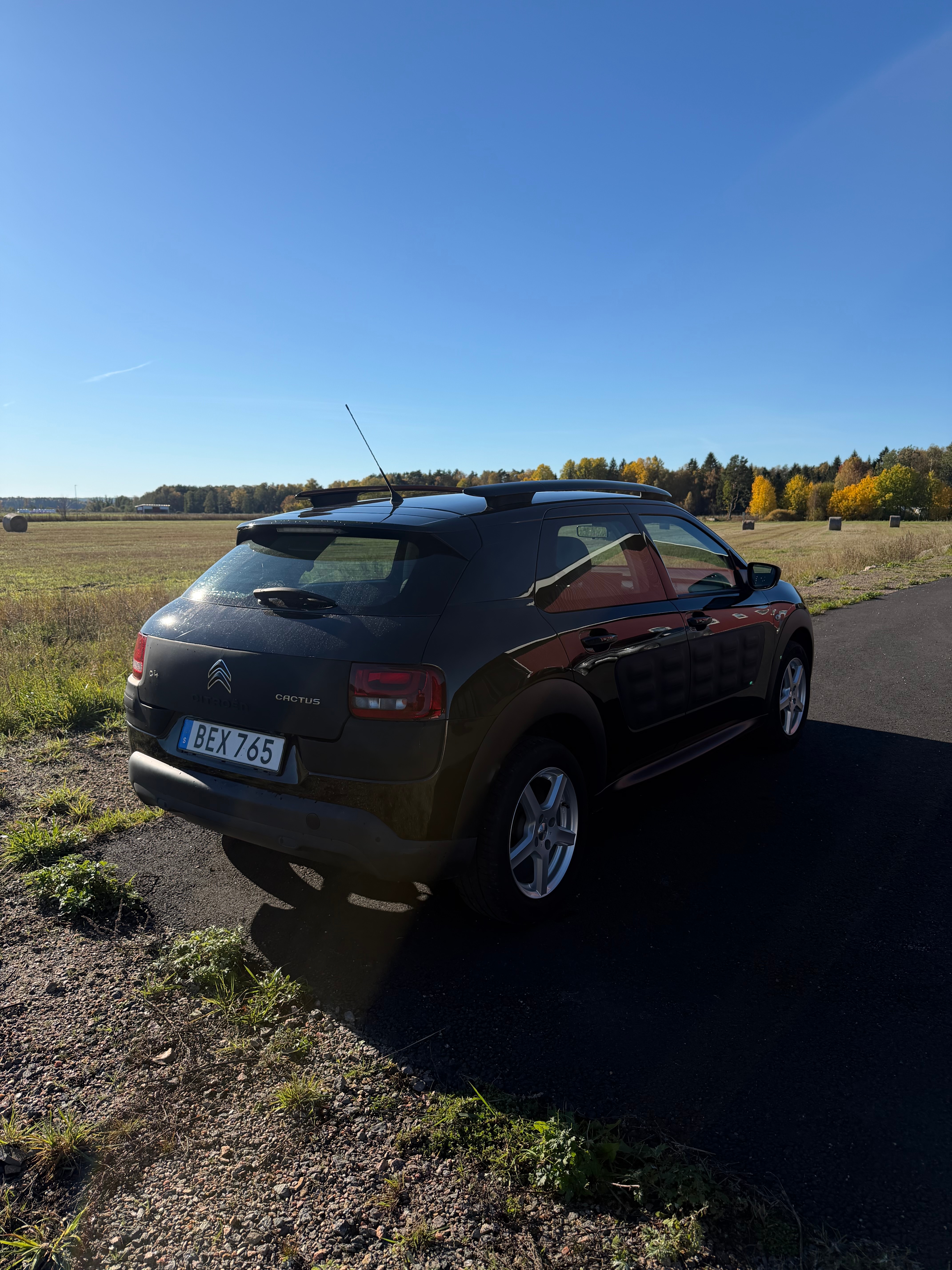Citroen C4 Cactus PureTech 82 2015, bild 3/10