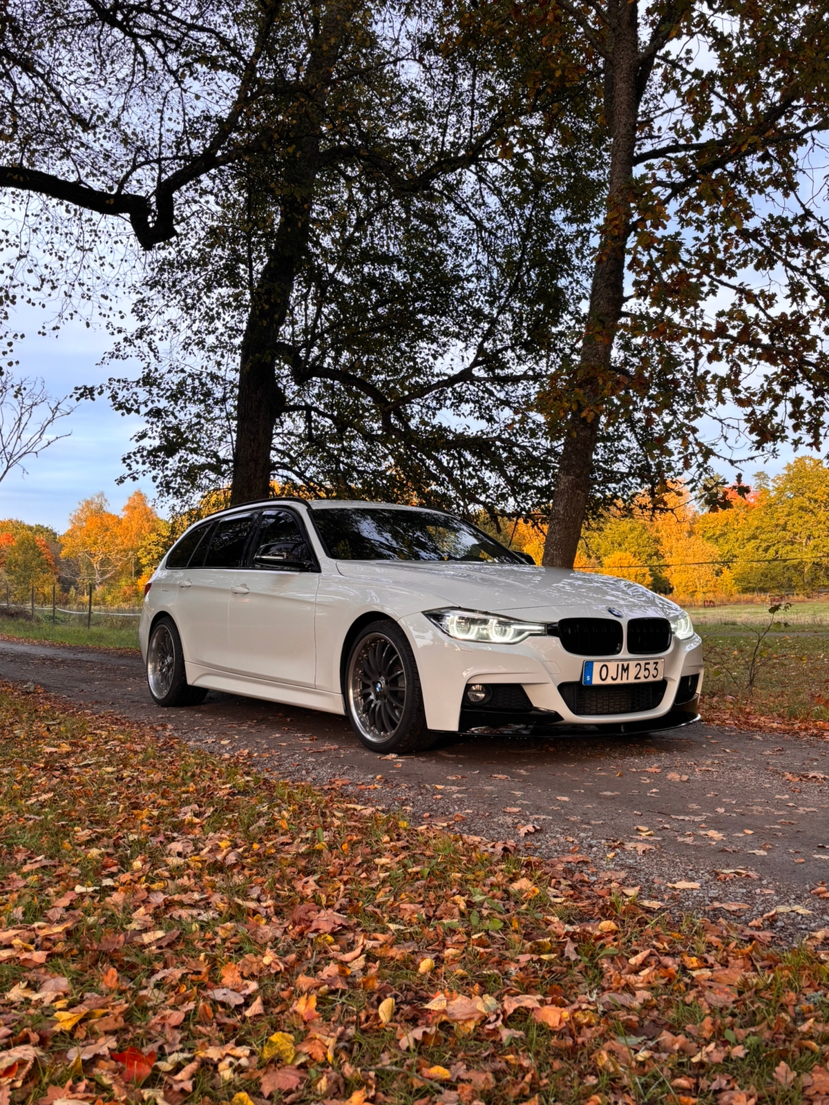 BMW 320d M Sport 2017, bild 6/8