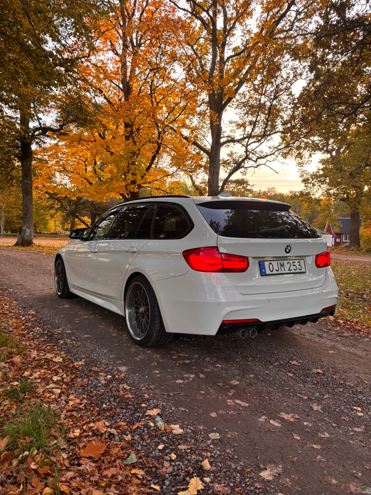BMW 320d M Sport 2017, bild 3/8