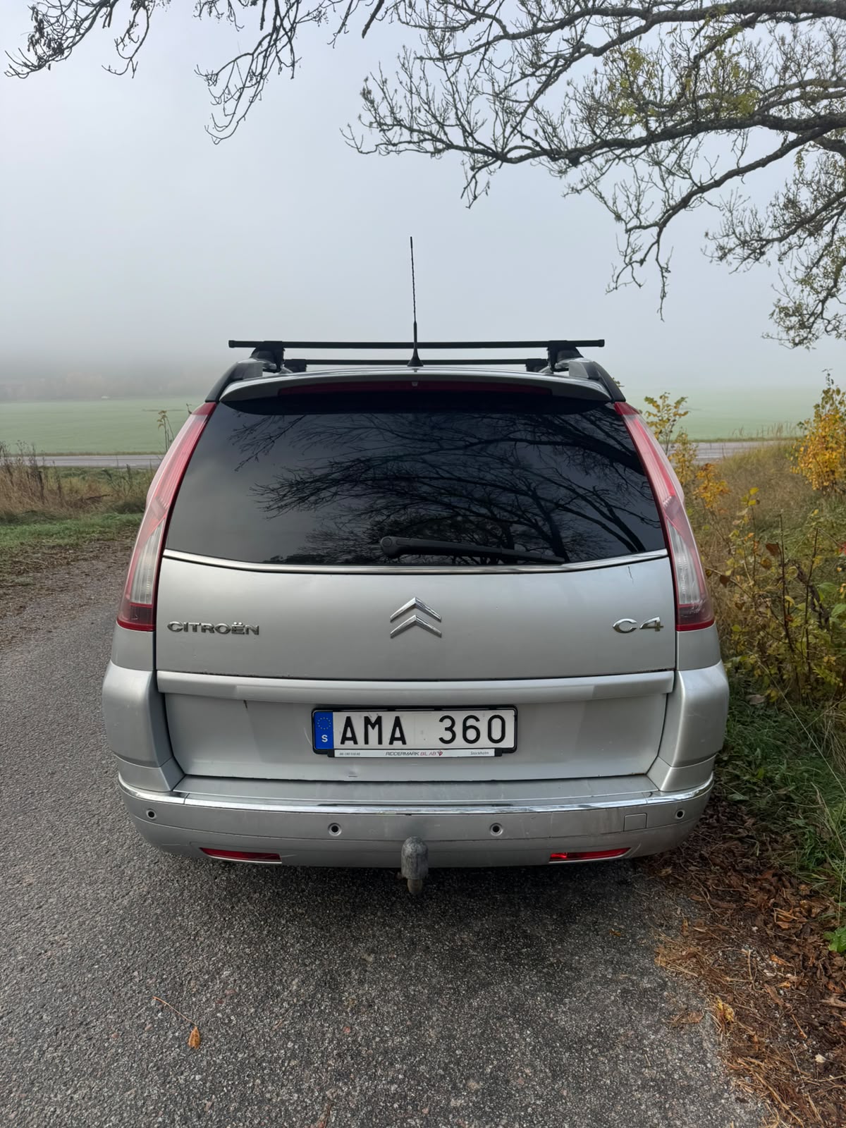 Citroen Grand C4 Picasso HDi 135 FAP EGS 2010, bild 3/10