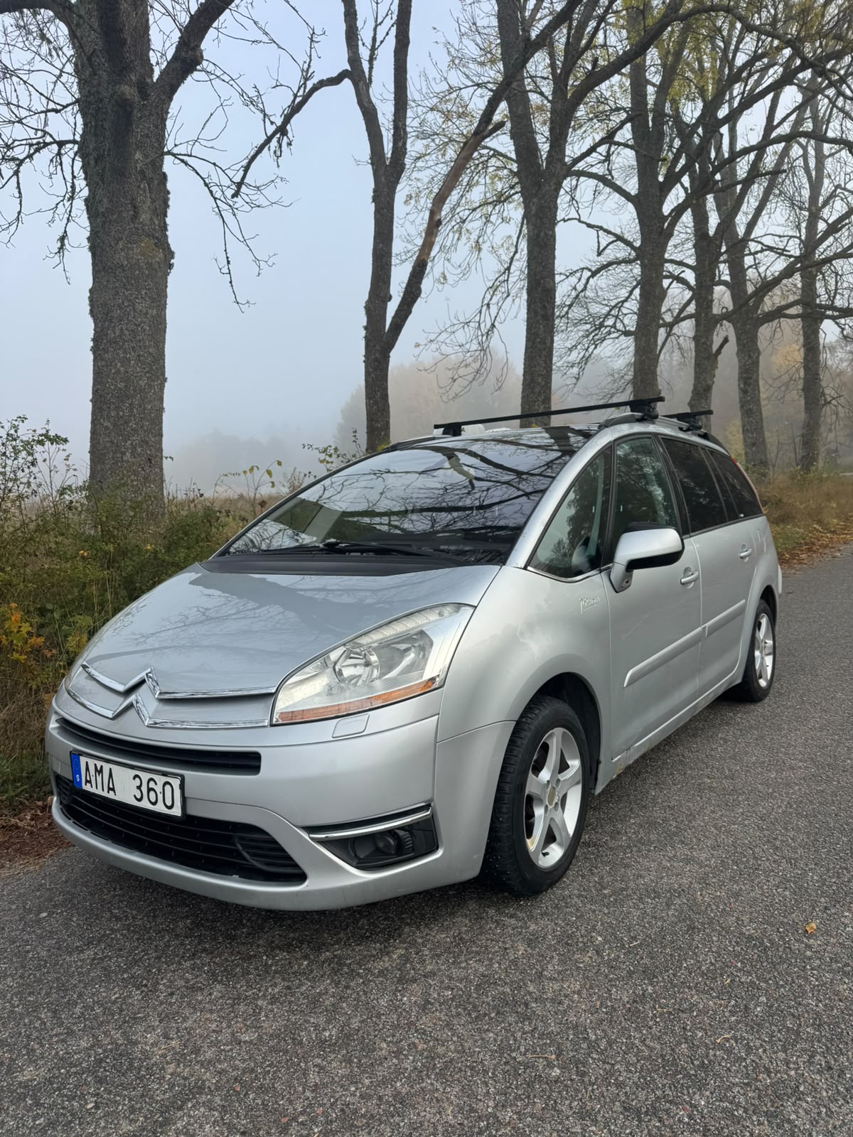 Citroen Grand C4 Picasso HDi 135 FAP EGS 2010, bild 2/10