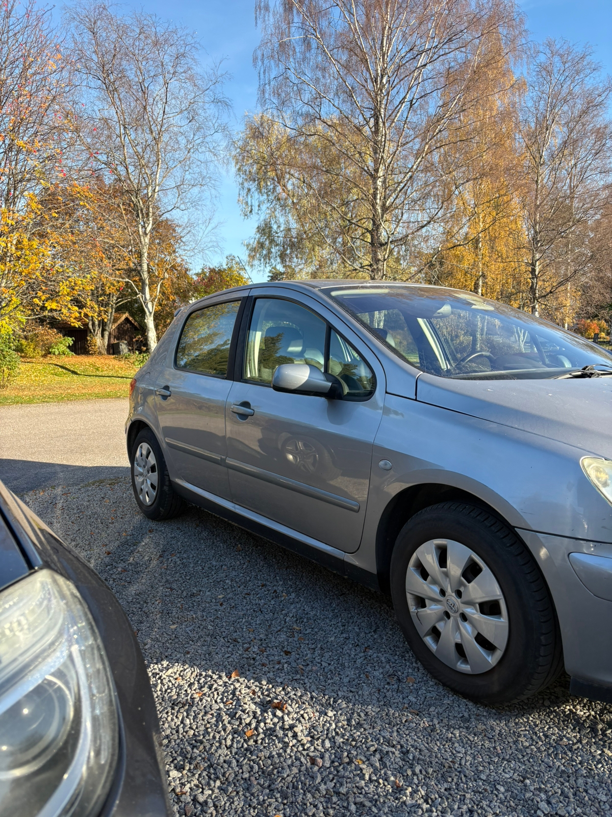 Peugeot 307 135 2004, bild 2/10