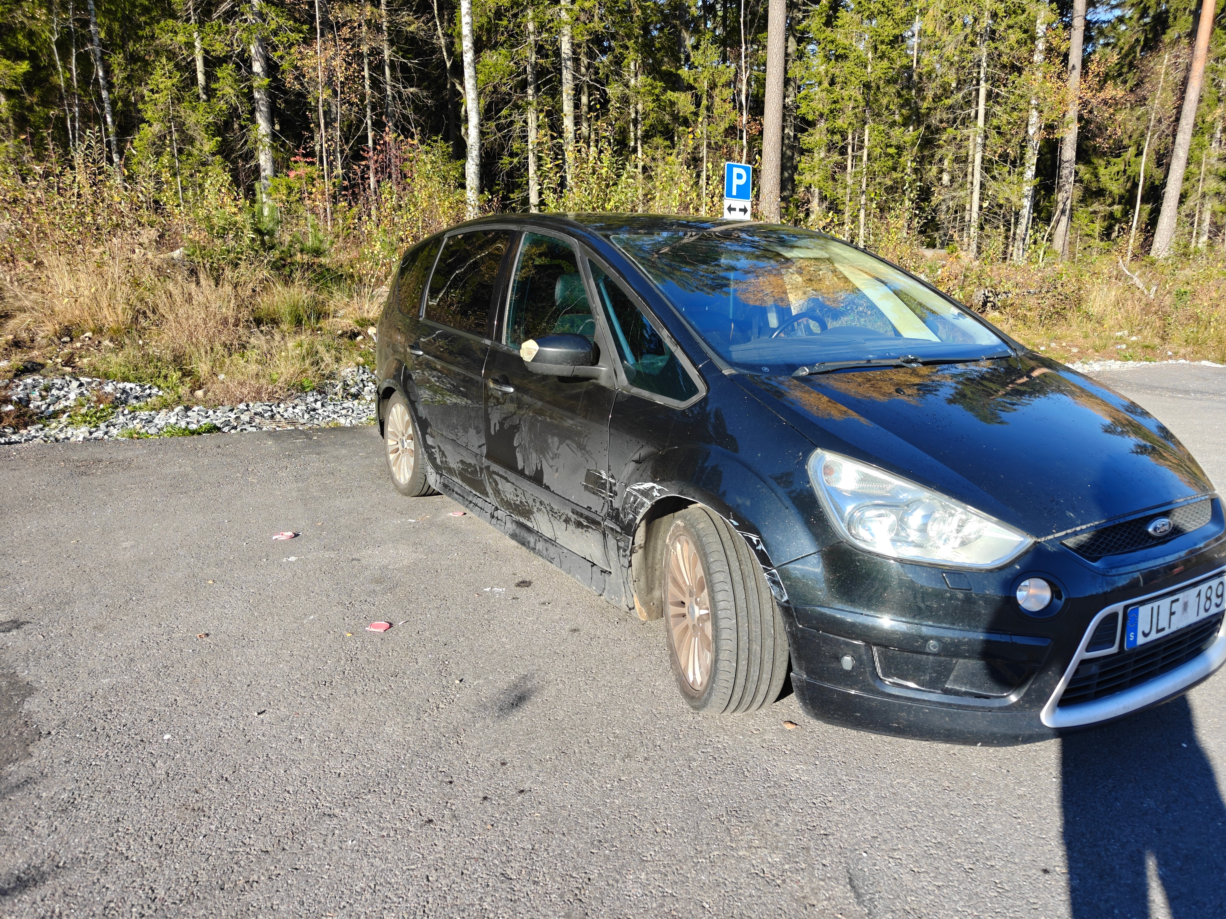 Ford S-MAX
