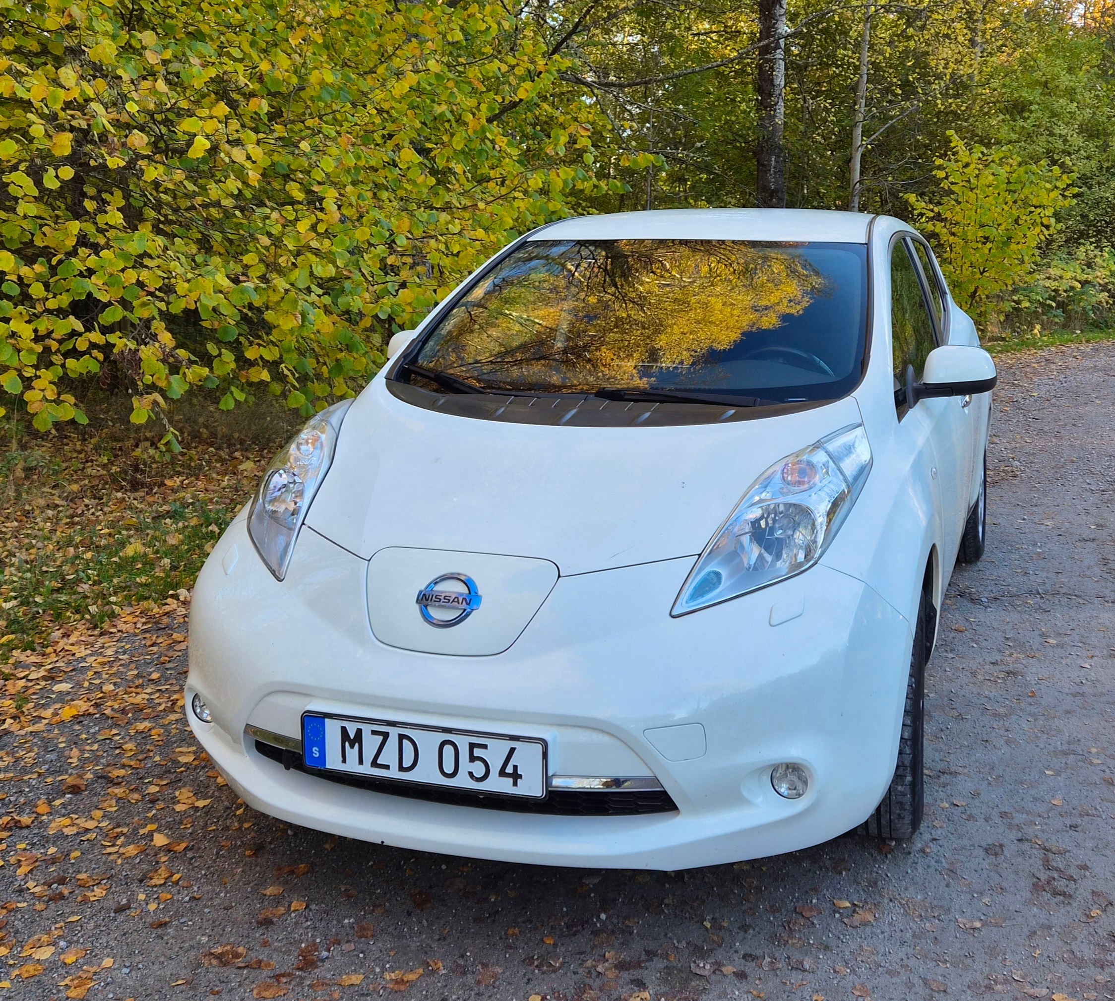 Nissan Leaf 2016, bild 2/9