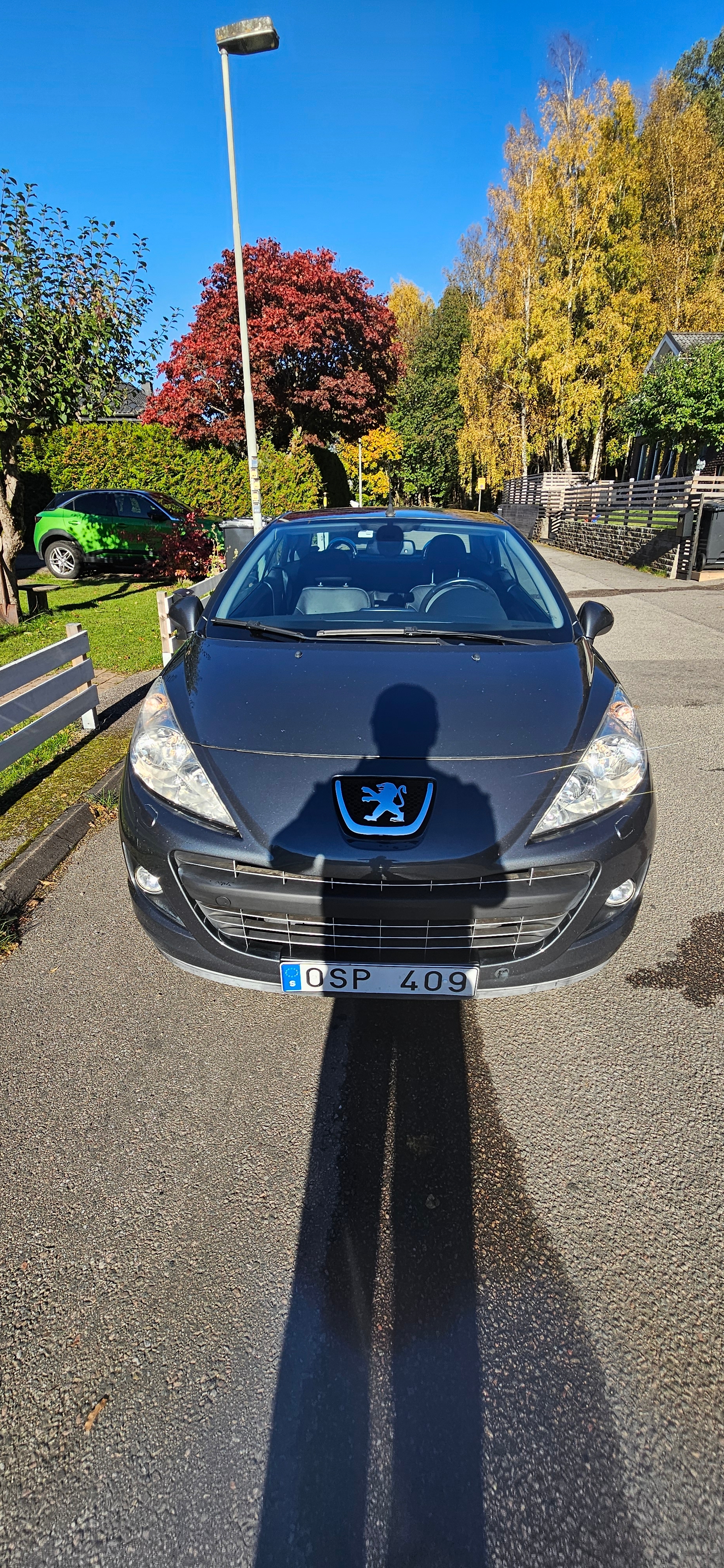 Peugeot 207 120 VTi 2010, bild 2/10