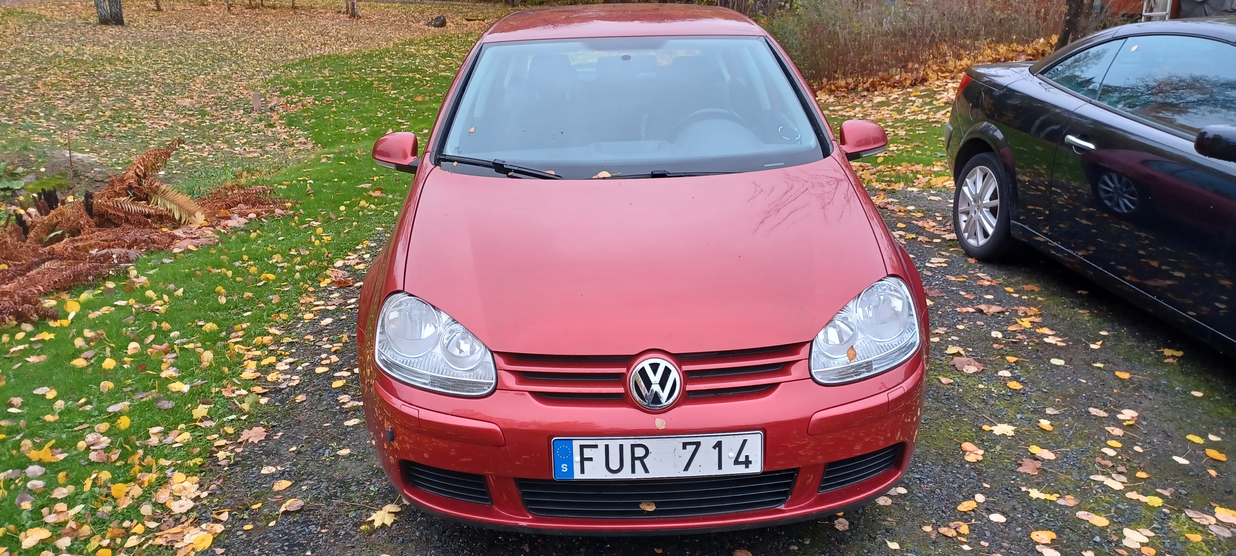 Volkswagen Golf 1.6 2008, bild 3/7