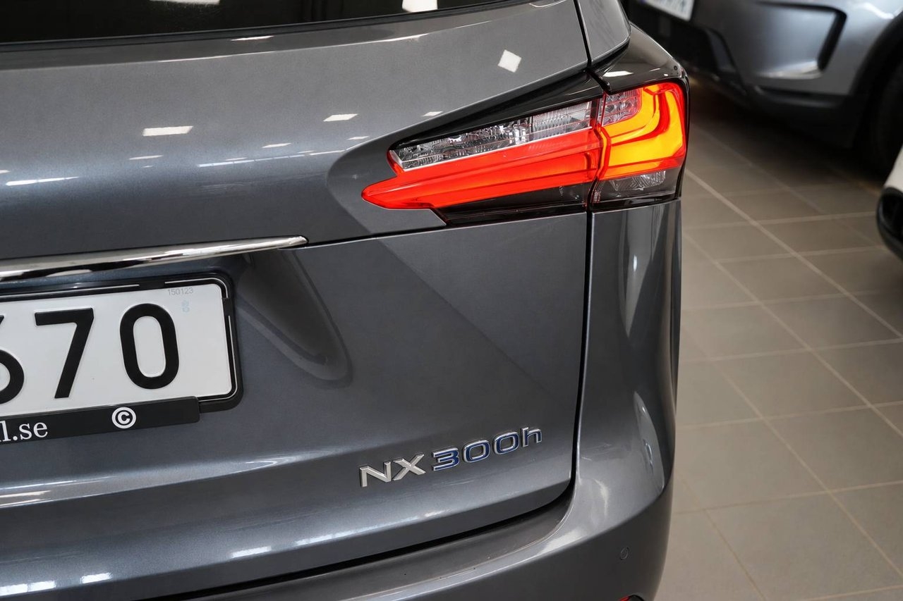 Lexus NX 300h Executive 2015, bild 7/10