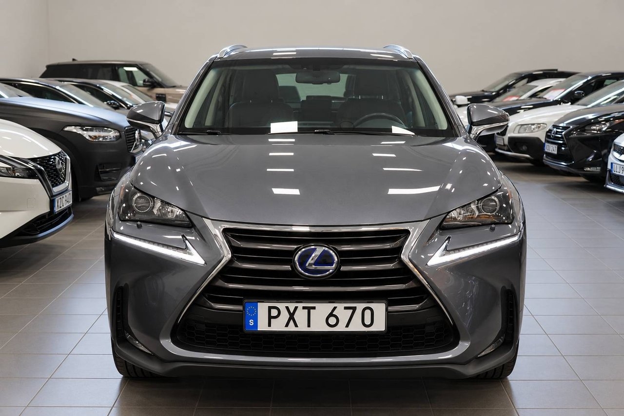 Lexus NX 300h Executive 2015, bild 3/10