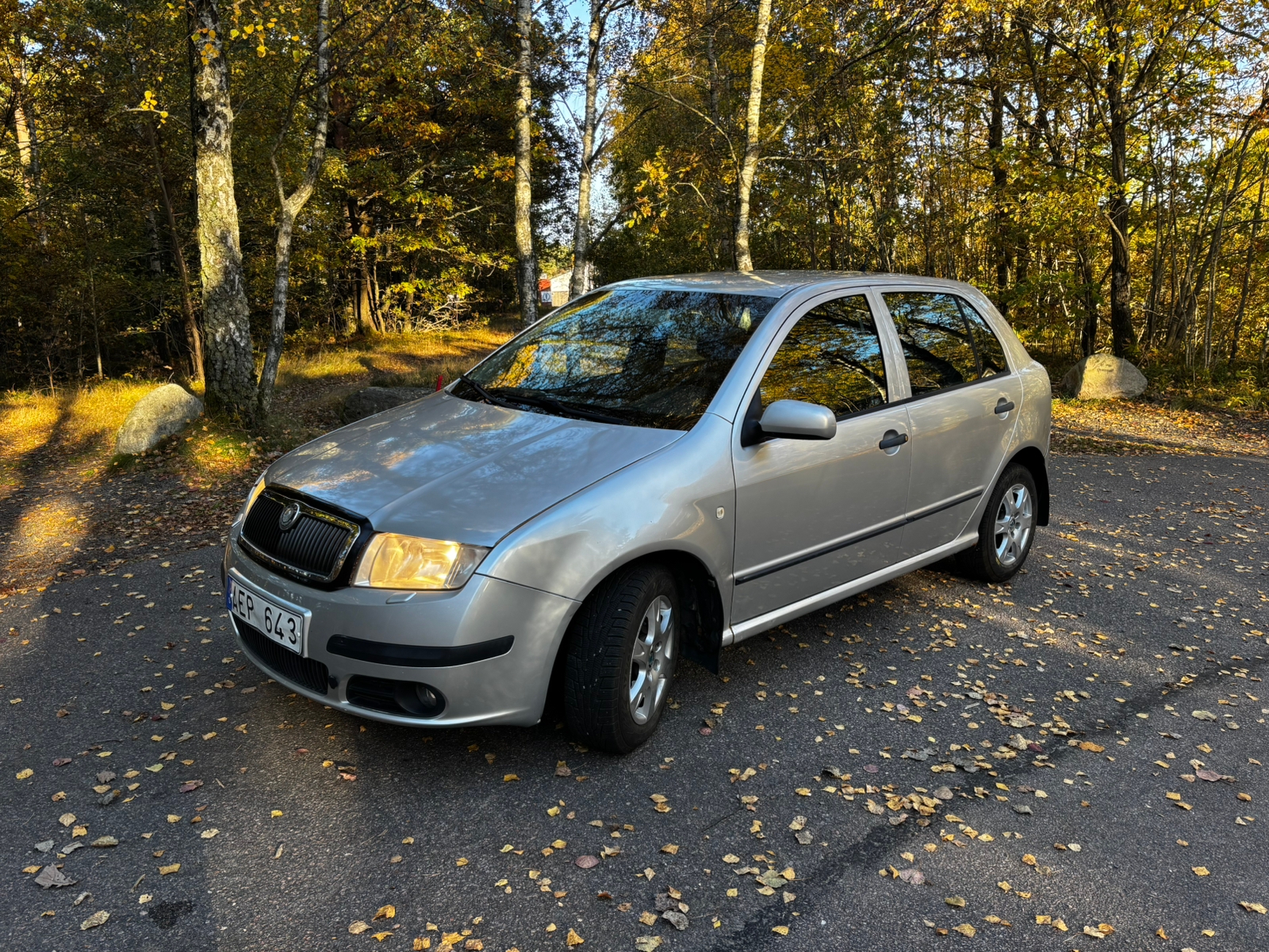 Skoda Fabia