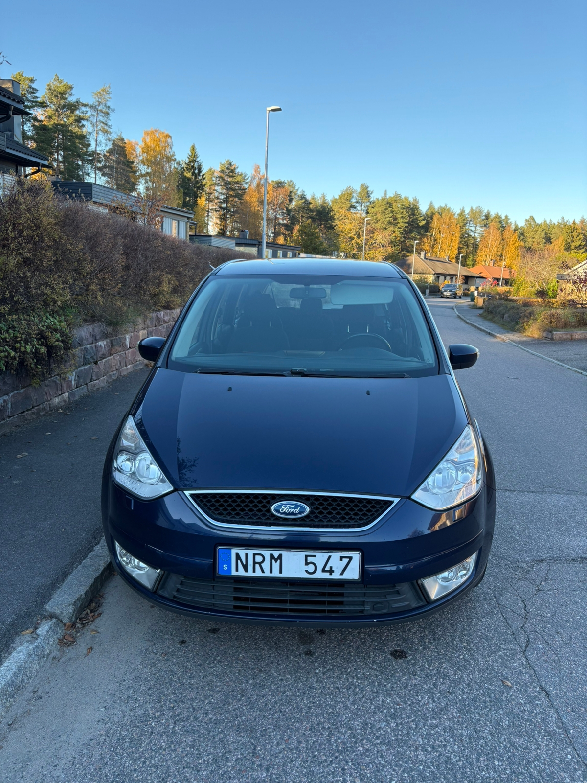 Ford Galaxy 2.0 2009, bild 2/10