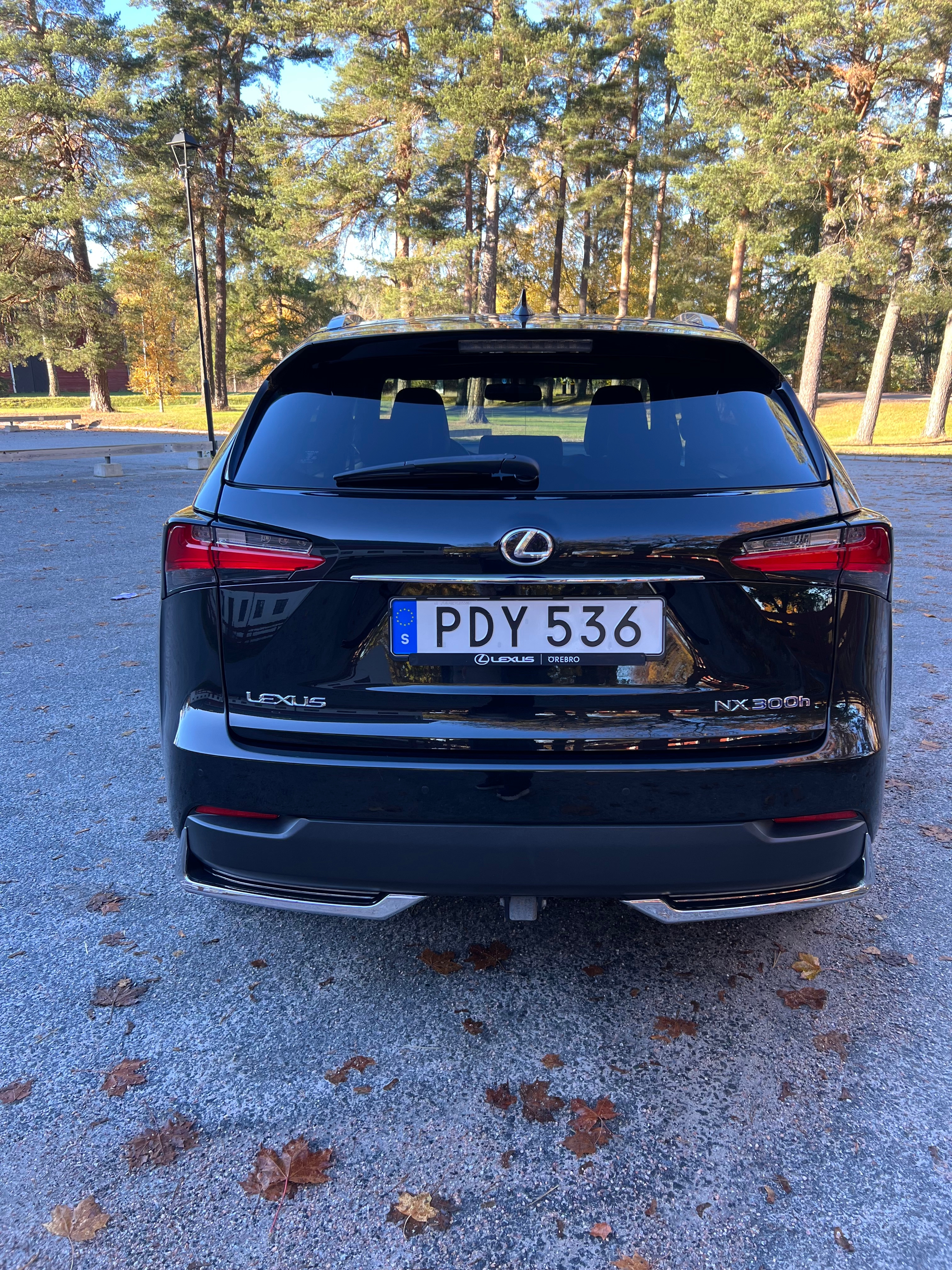 Lexus NX 300h F Sport 2017, bild 5/9