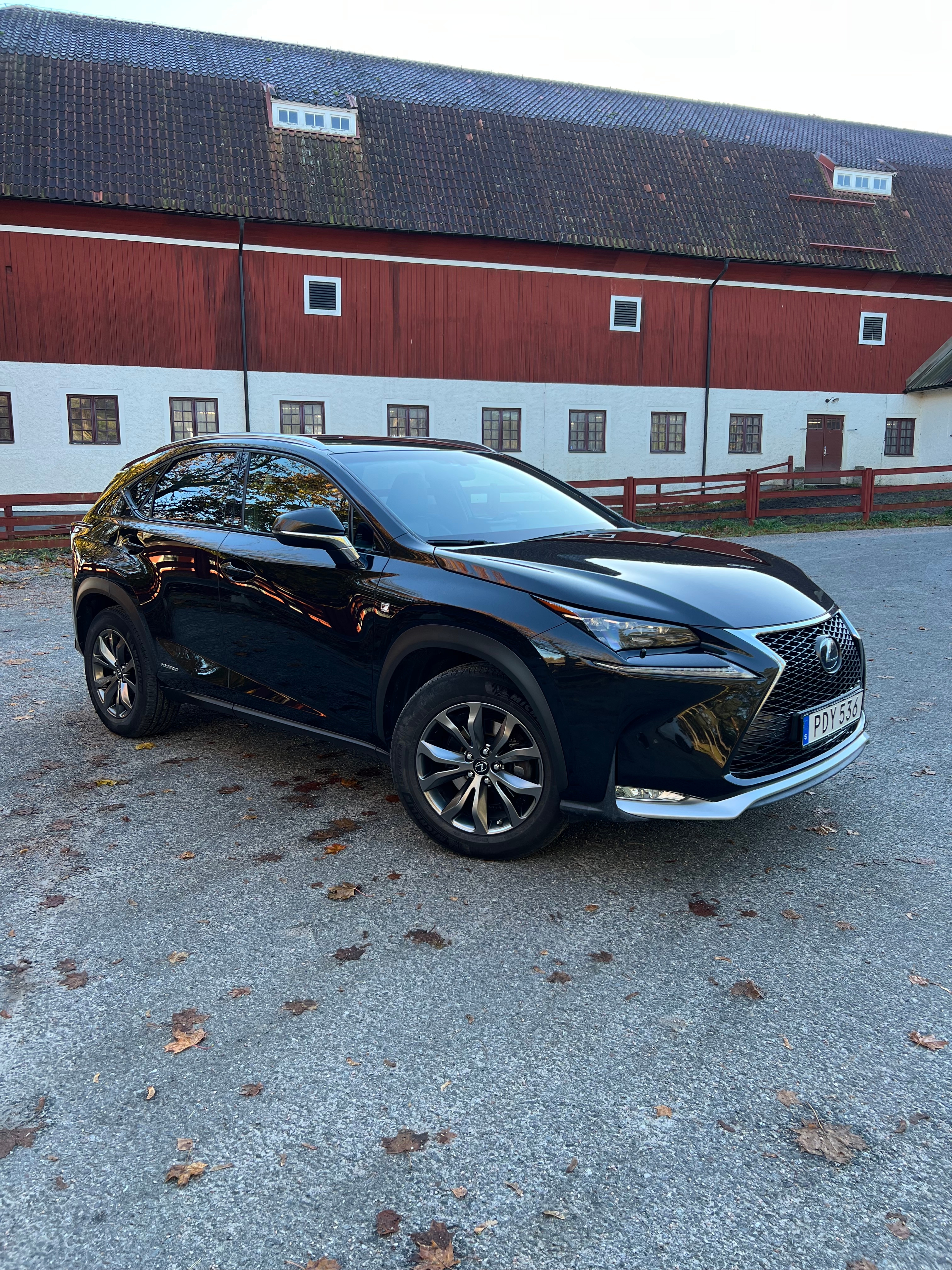 Lexus NX 300h F Sport 2017, bild 4/9