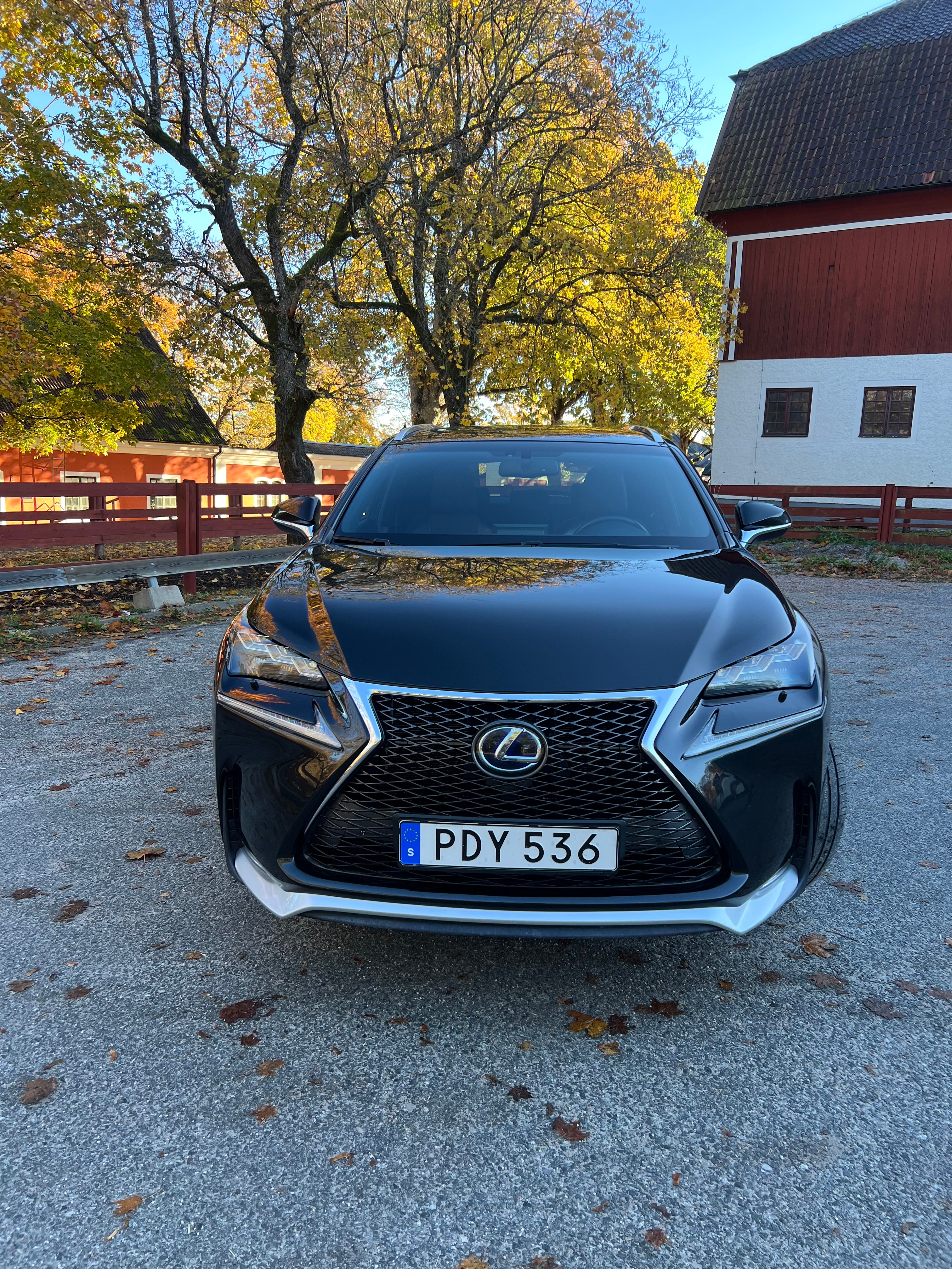 Lexus NX 300h F Sport 2017, bild 2/9