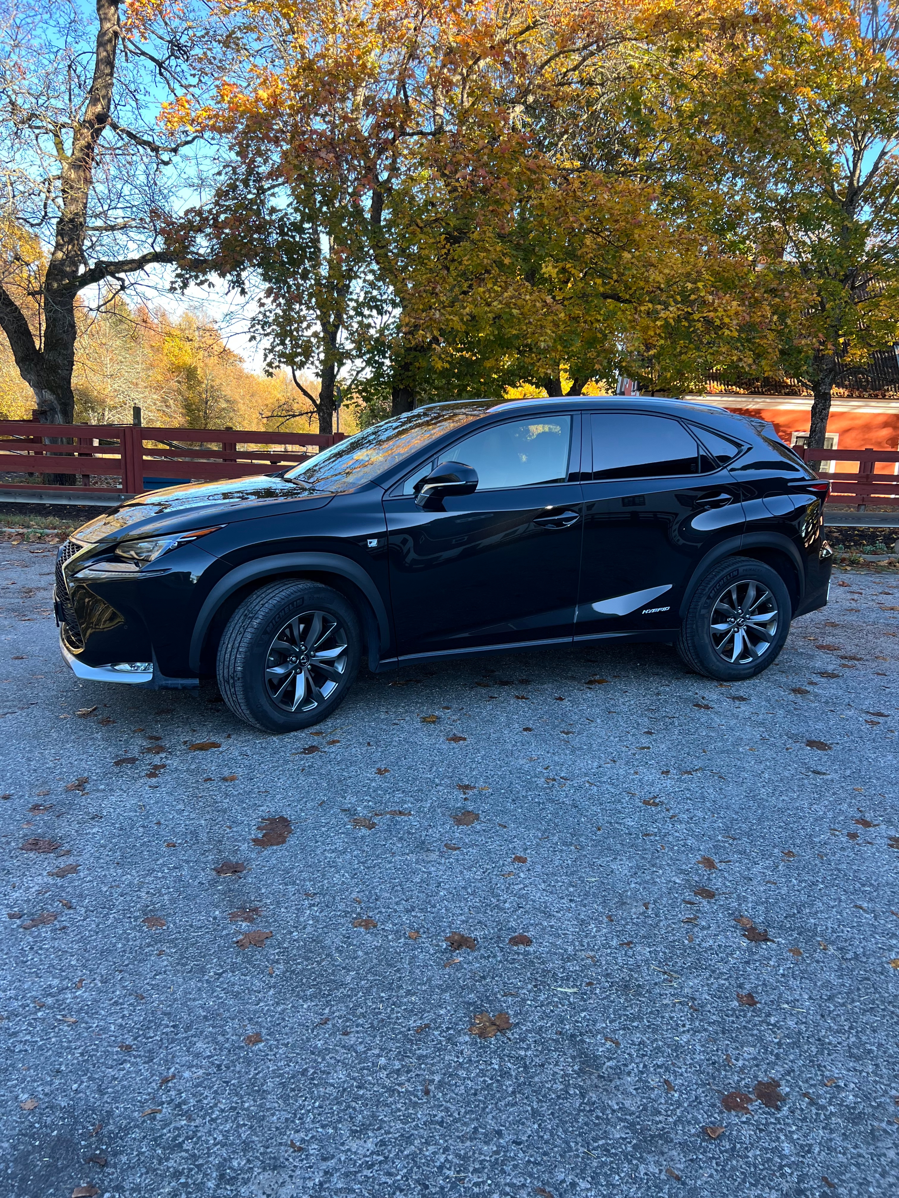 Lexus NX 300h F Sport 2017, bild 3/9