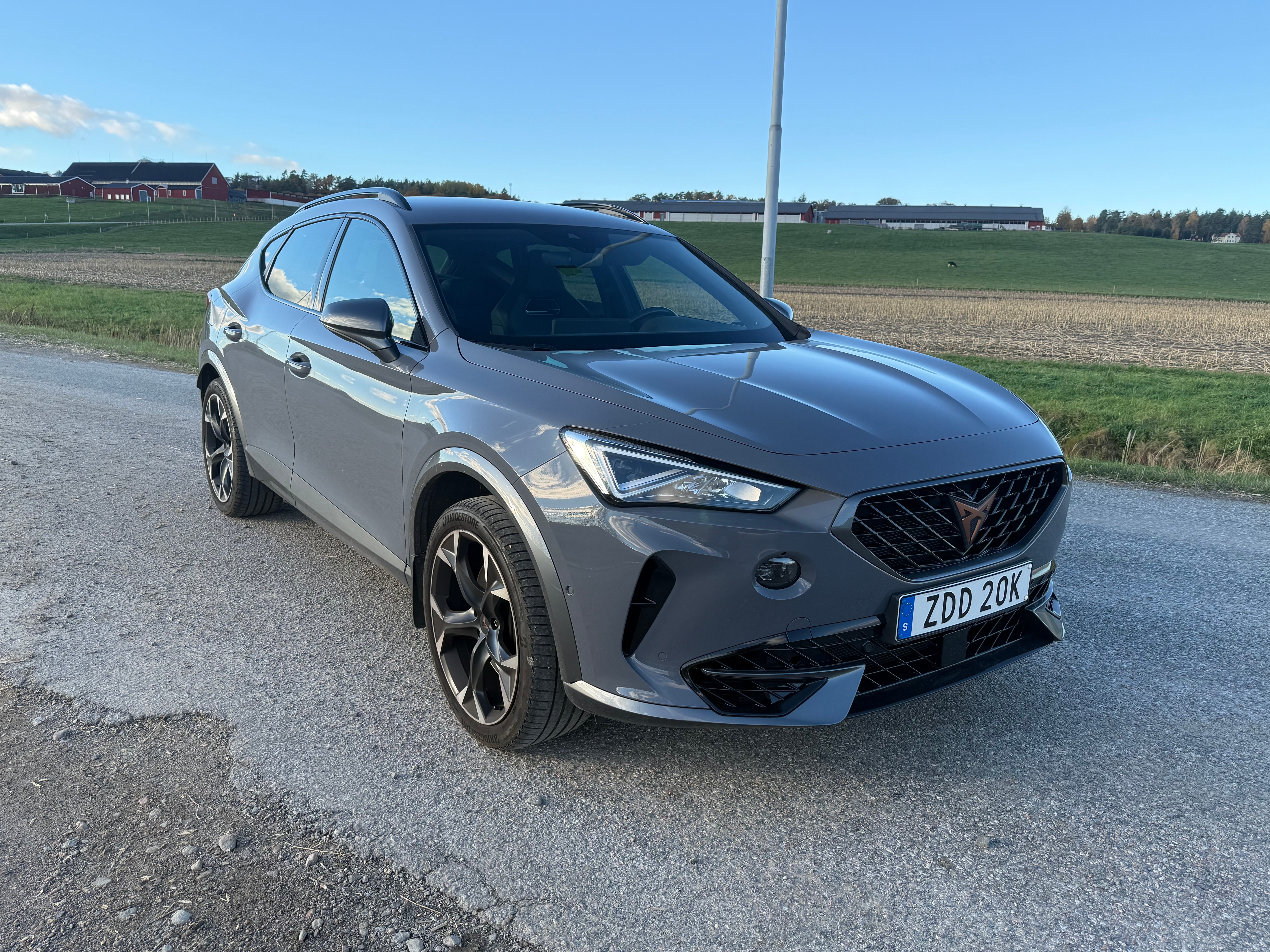 Cupra Formentor 2.0 TSI 2021, bild 3/10