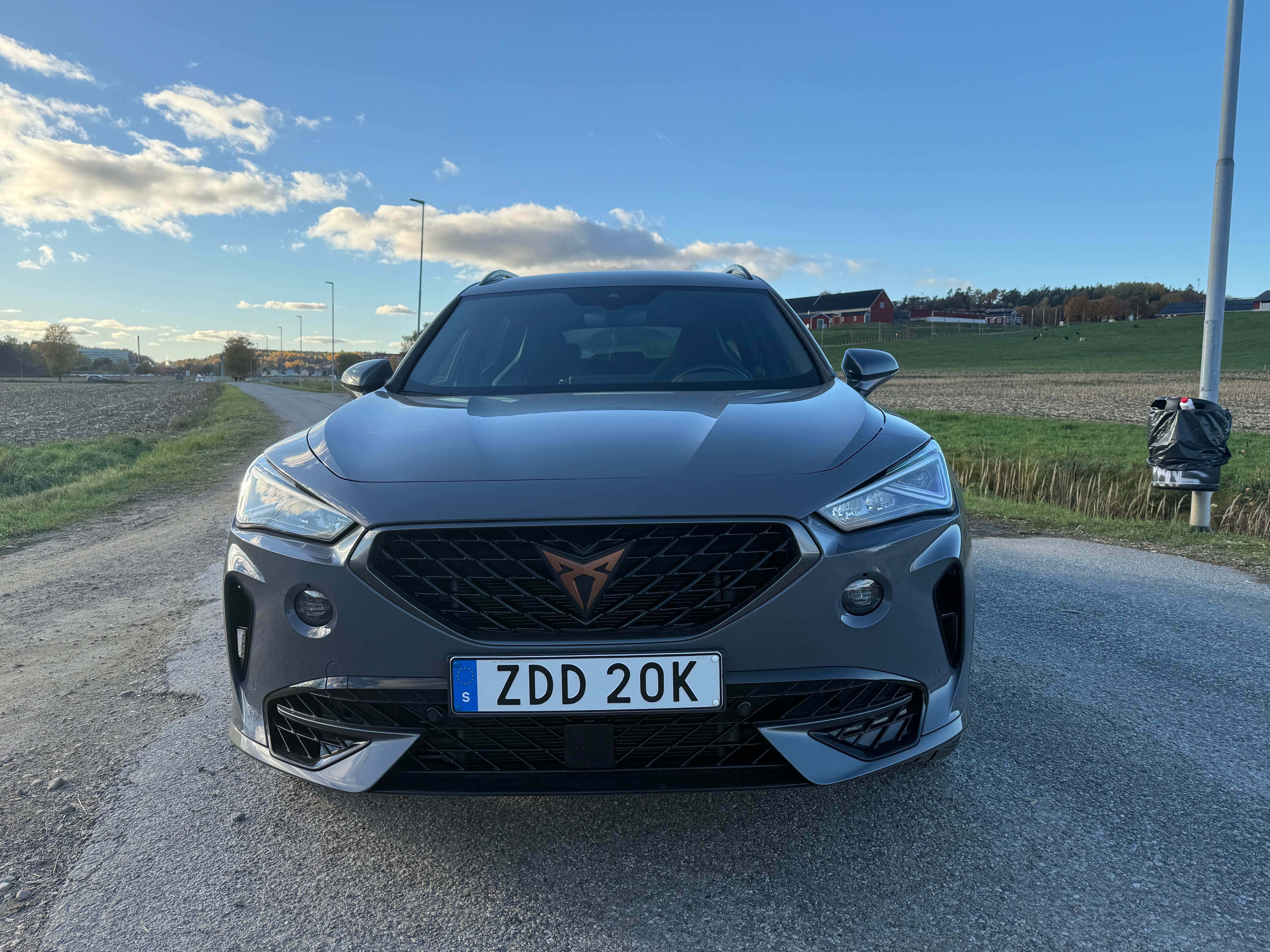 Cupra Formentor 2.0 TSI 2021, bild 2/10