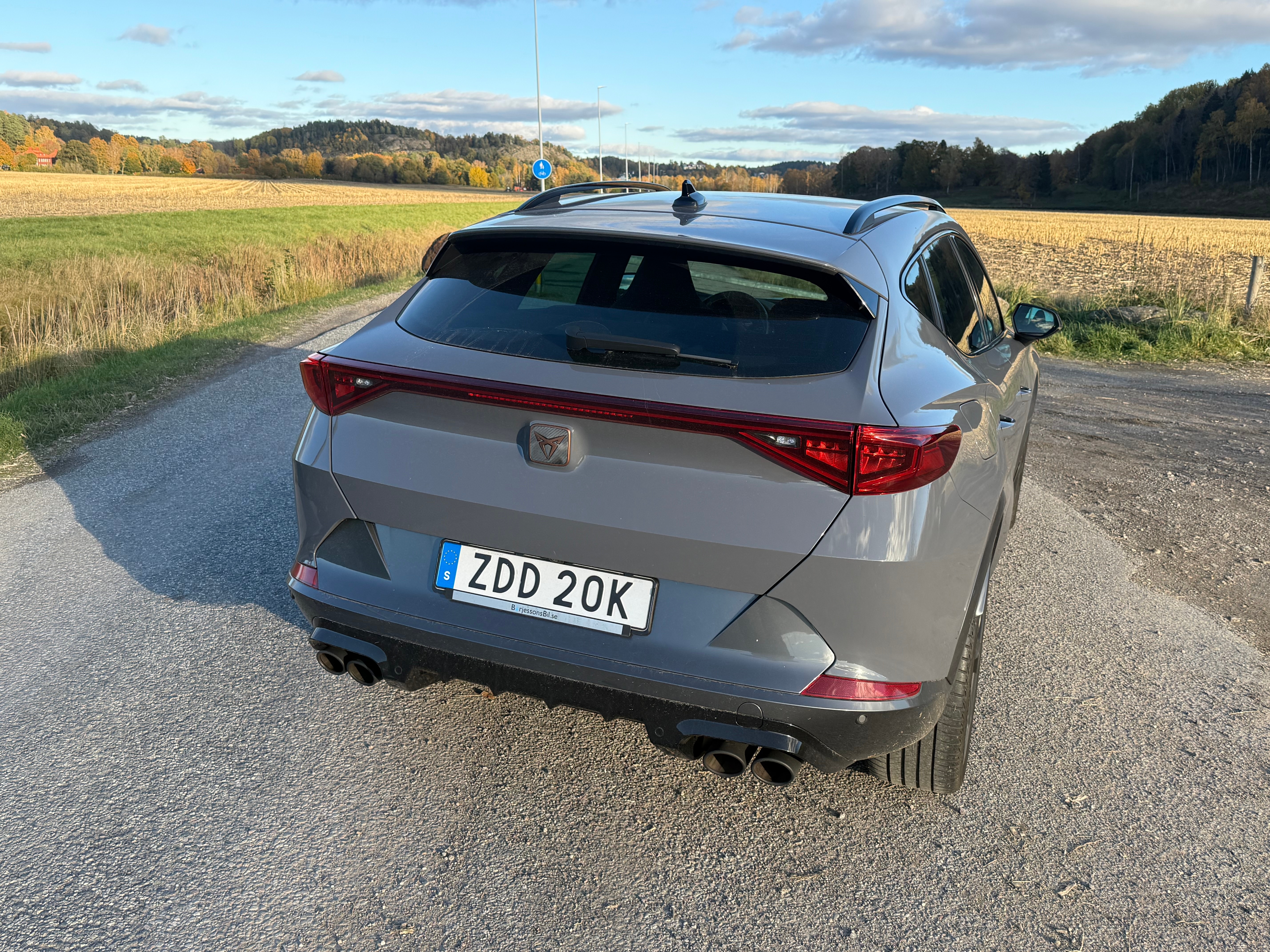 Cupra Formentor 2.0 TSI 2021, bild 5/10