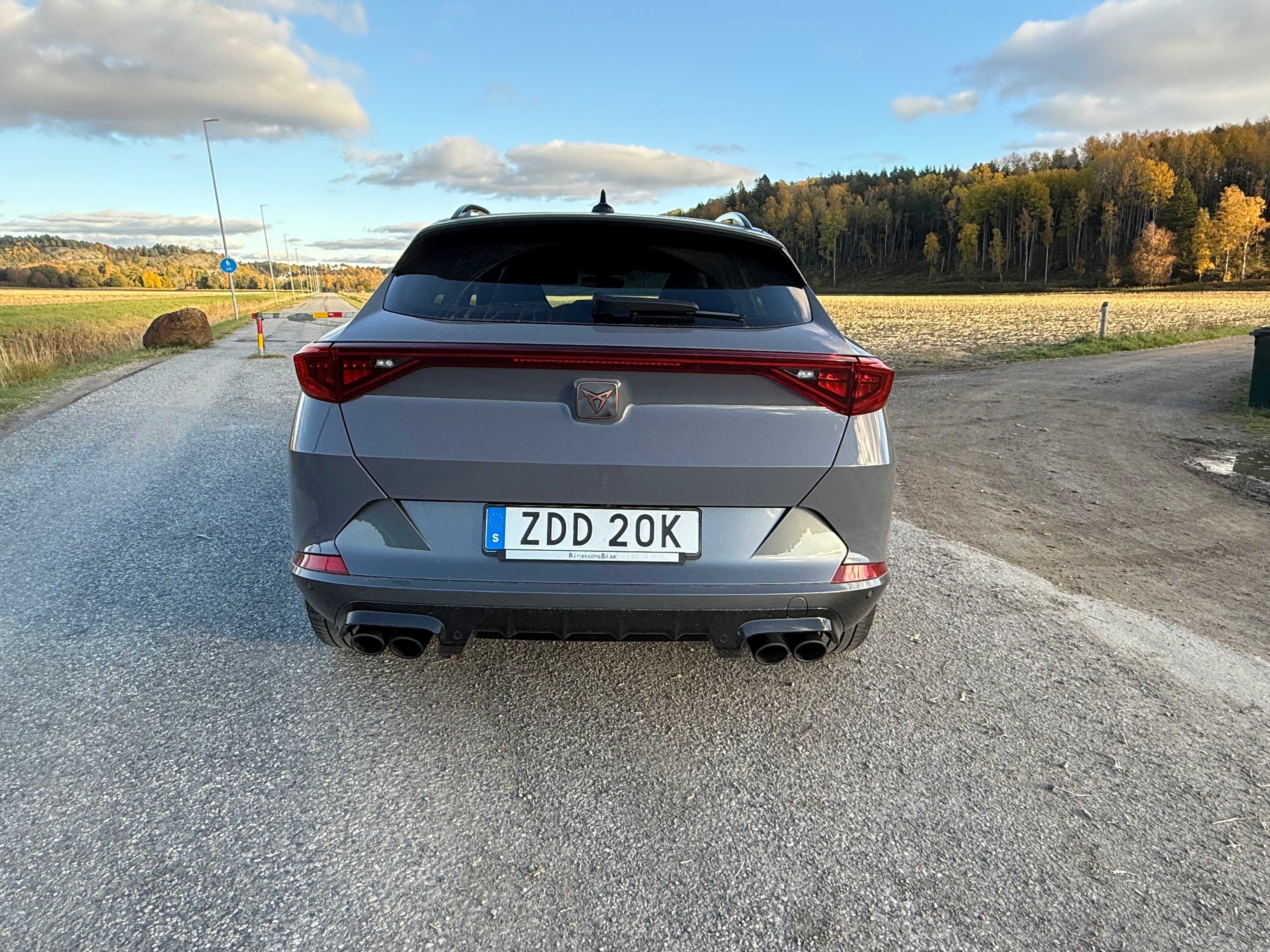 Cupra Formentor 2.0 TSI 2021, bild 4/10