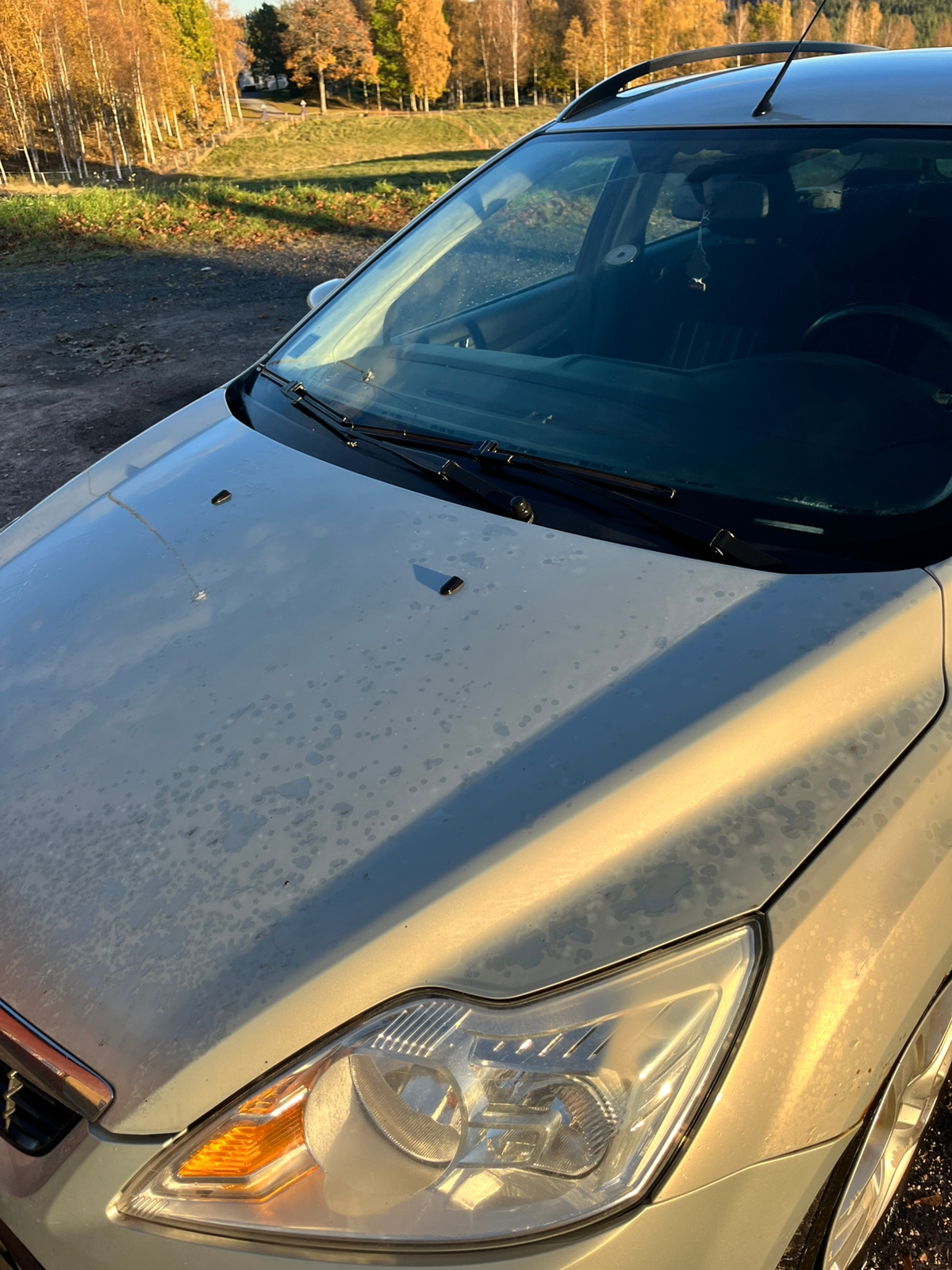 Ford Focus 2010, bild 7/9