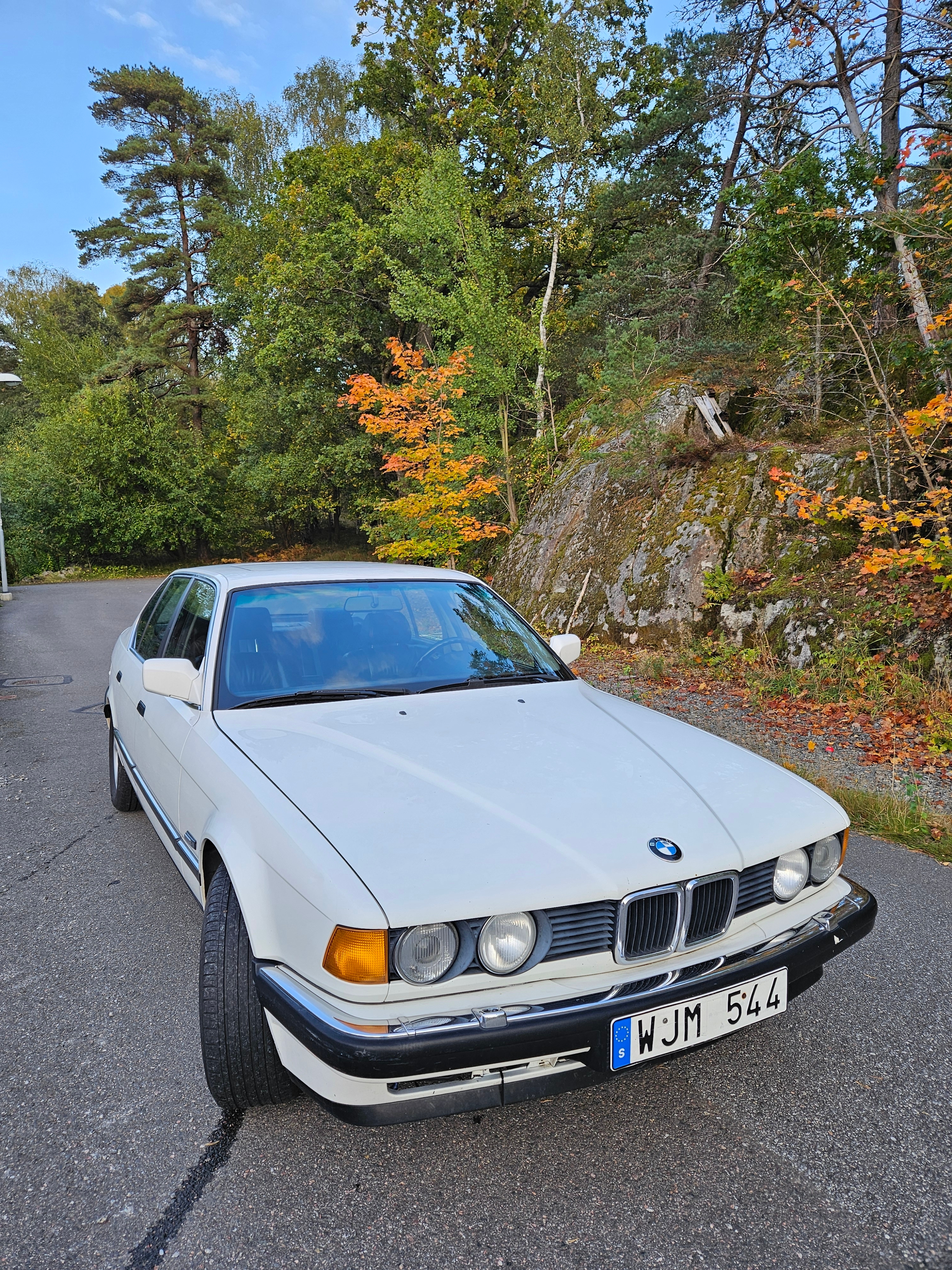 BMW 735 1988, bild 2/10