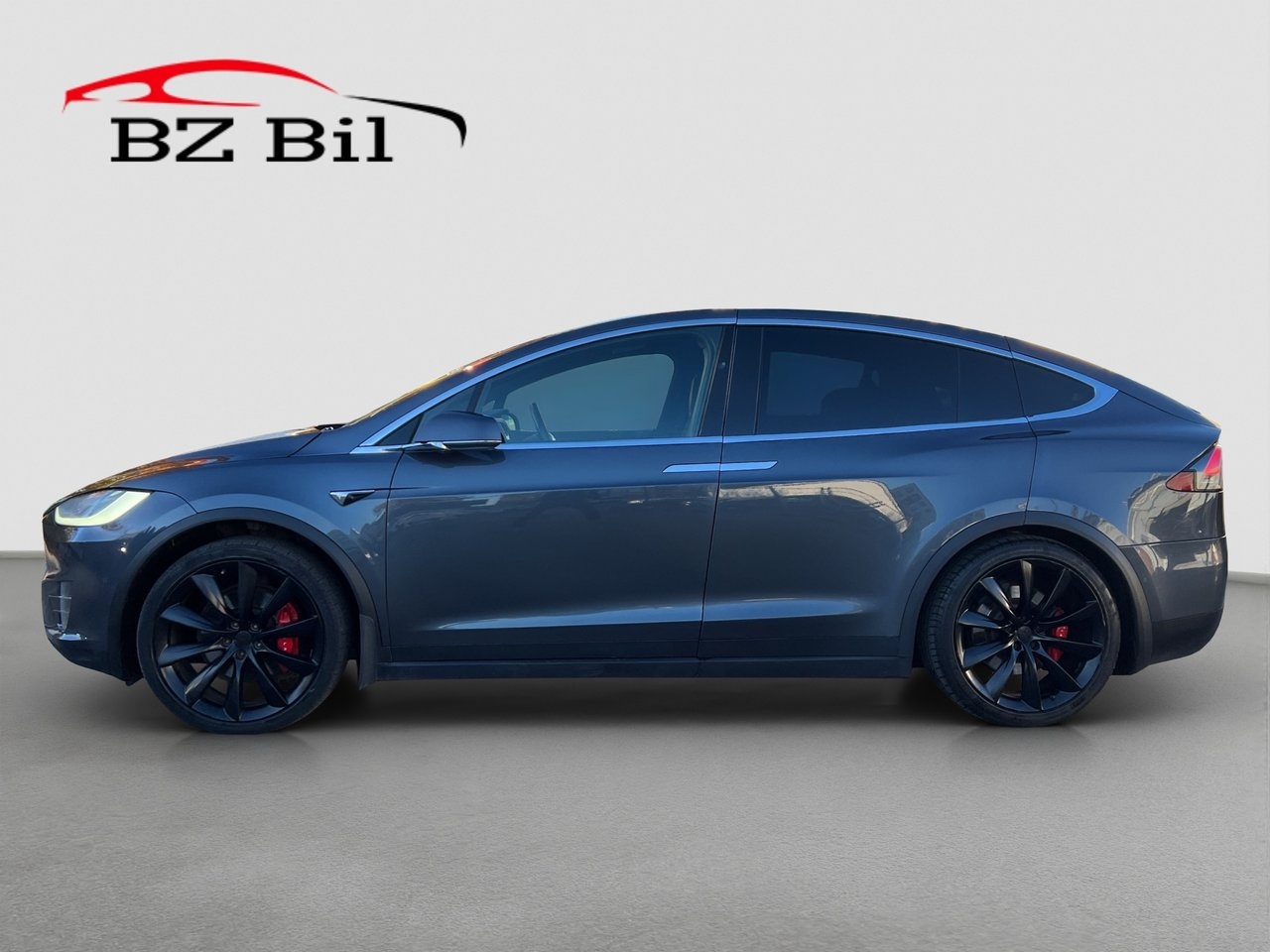 Tesla Model X Performance 2019, bild 2/10