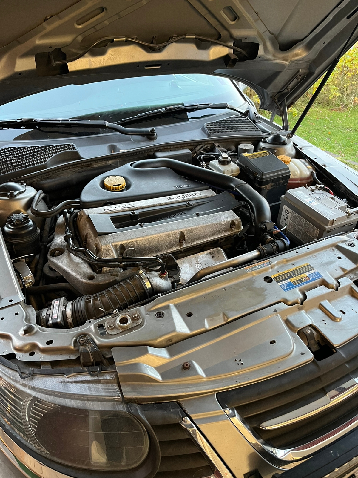 Saab 9-5 2006, bild 6/6