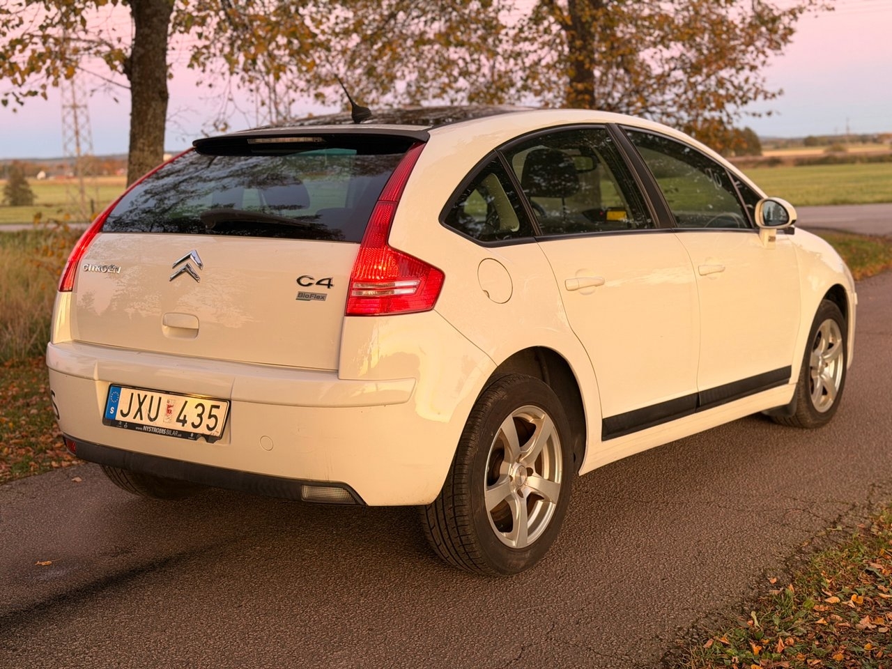Citroen C4 1.6 16V Bioflex 2009, bild 4/10