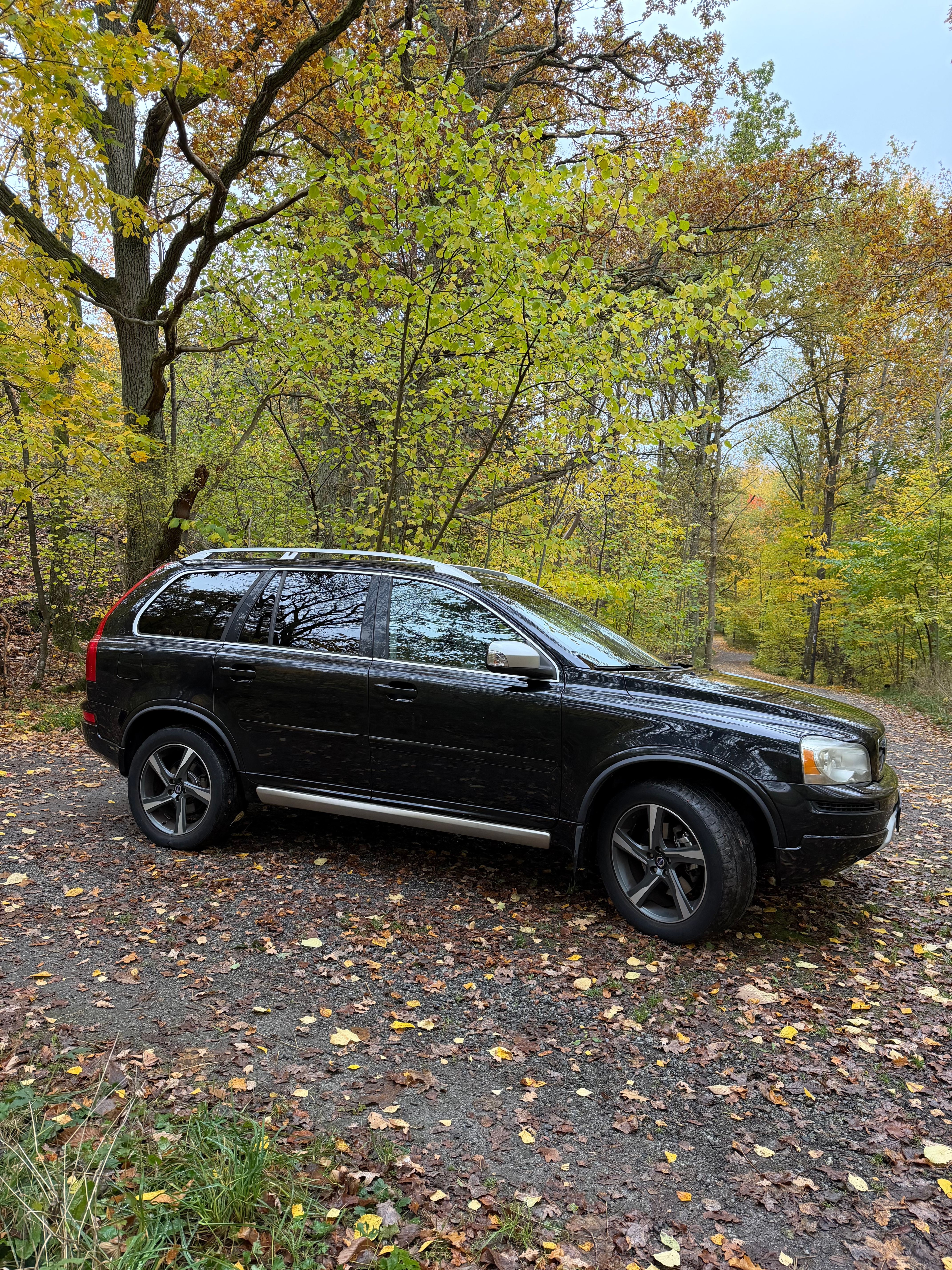 Volvo XC90 D5 2014, kuva 6/10