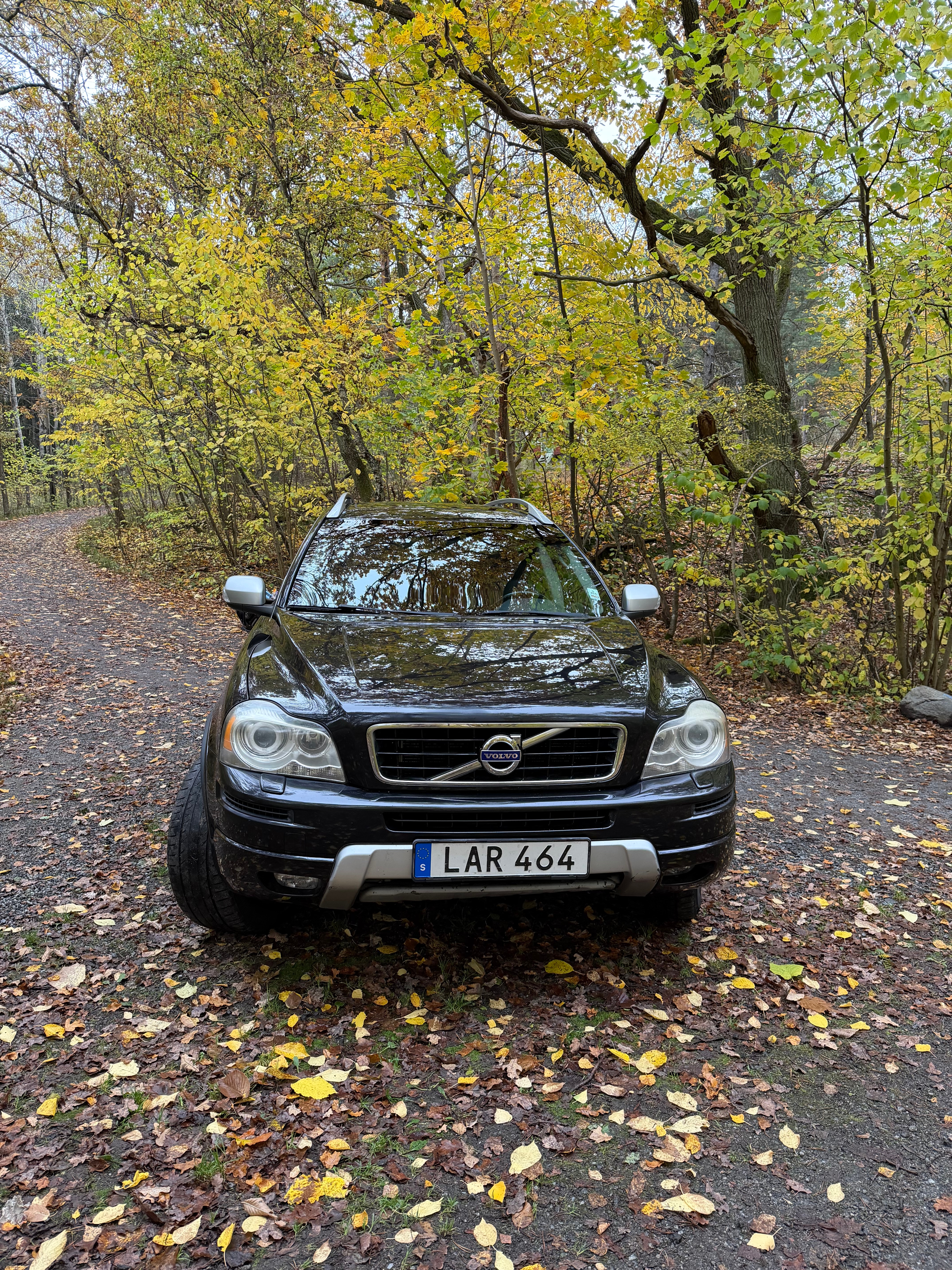 Volvo XC90 D5 2014, kuva 5/10