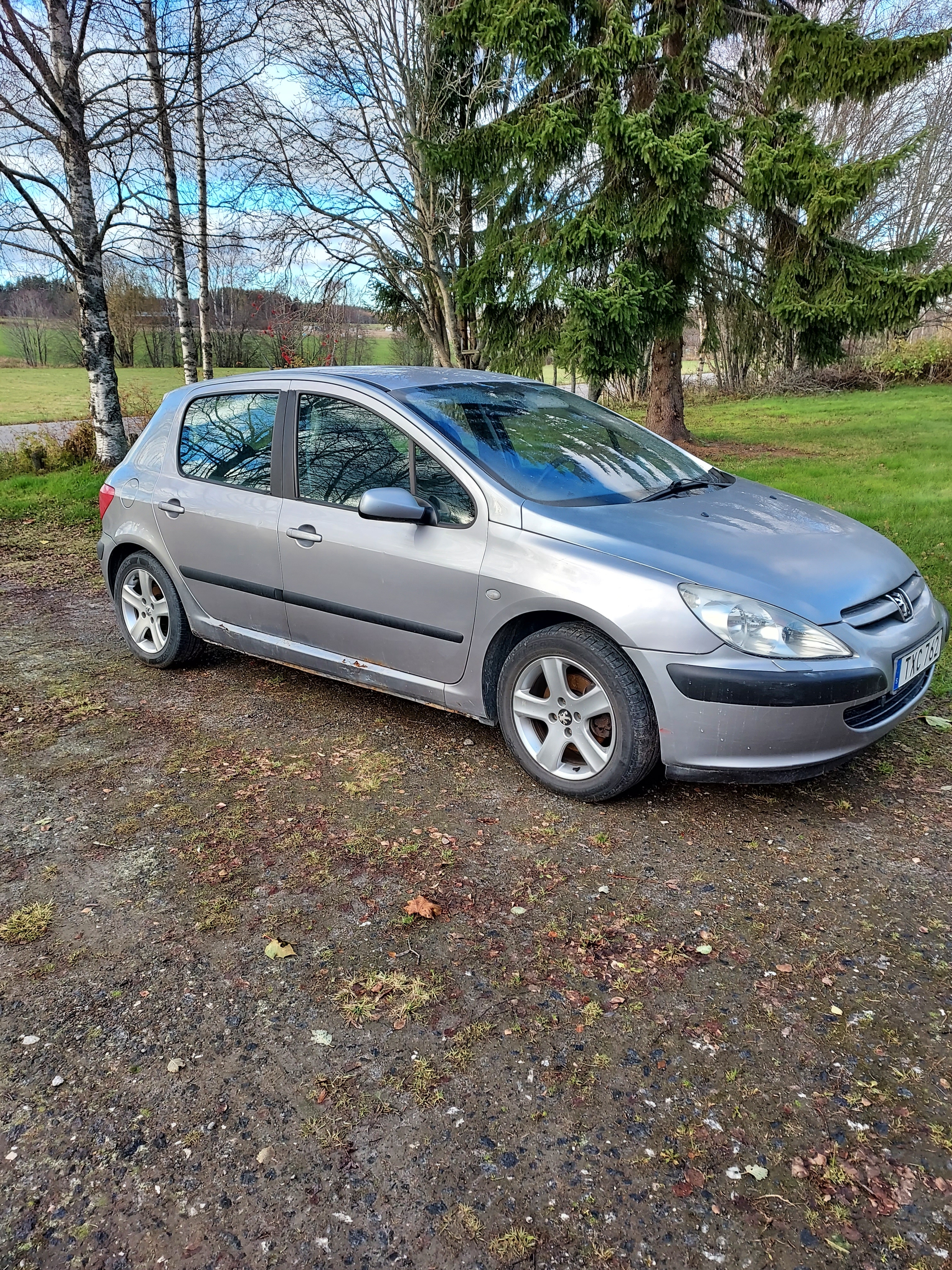 Peugeot 307