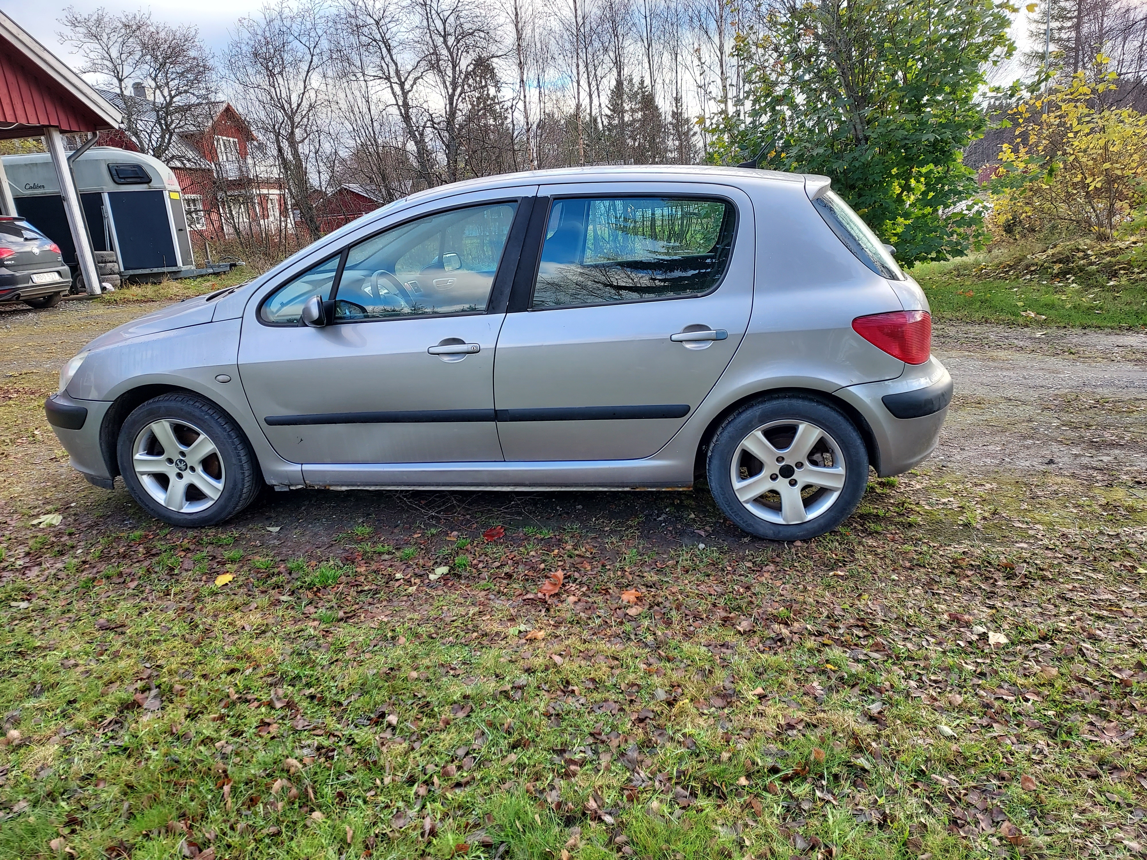 Peugeot 307 135 2003, bild 4/6