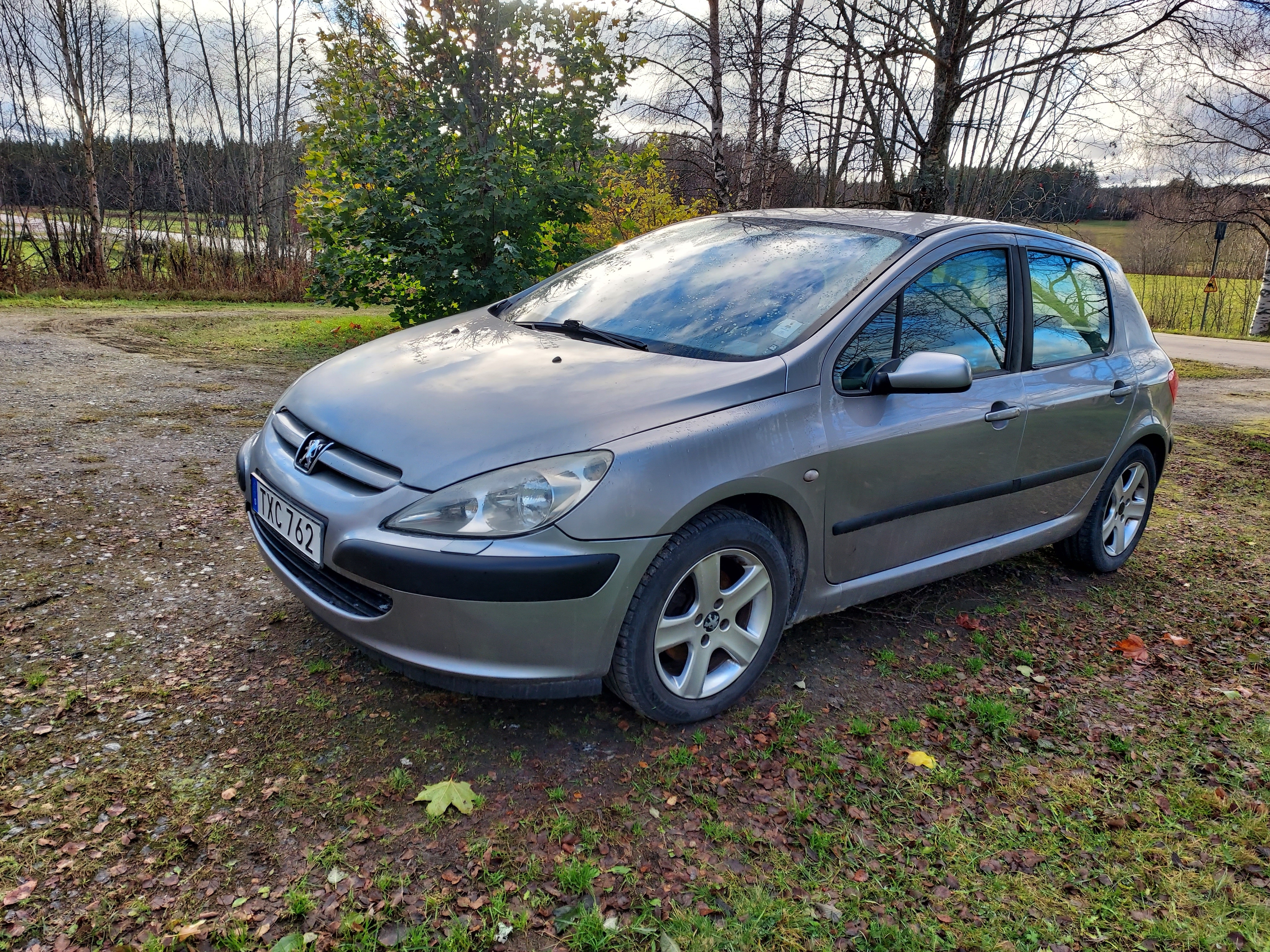 Peugeot 307 135 2003, bild 2/6