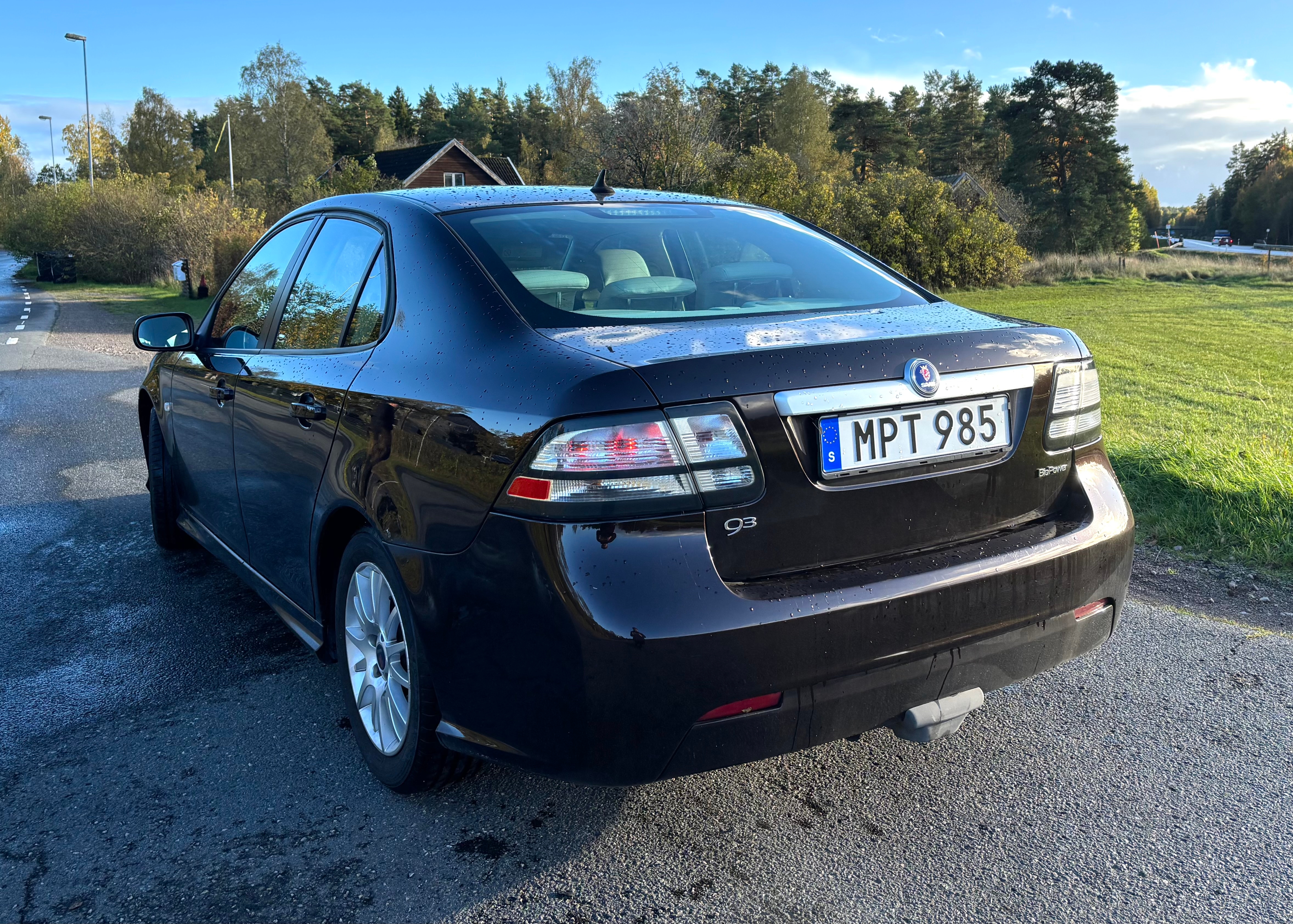 Saab 9-3 Biopower 2011, bild 4/10
