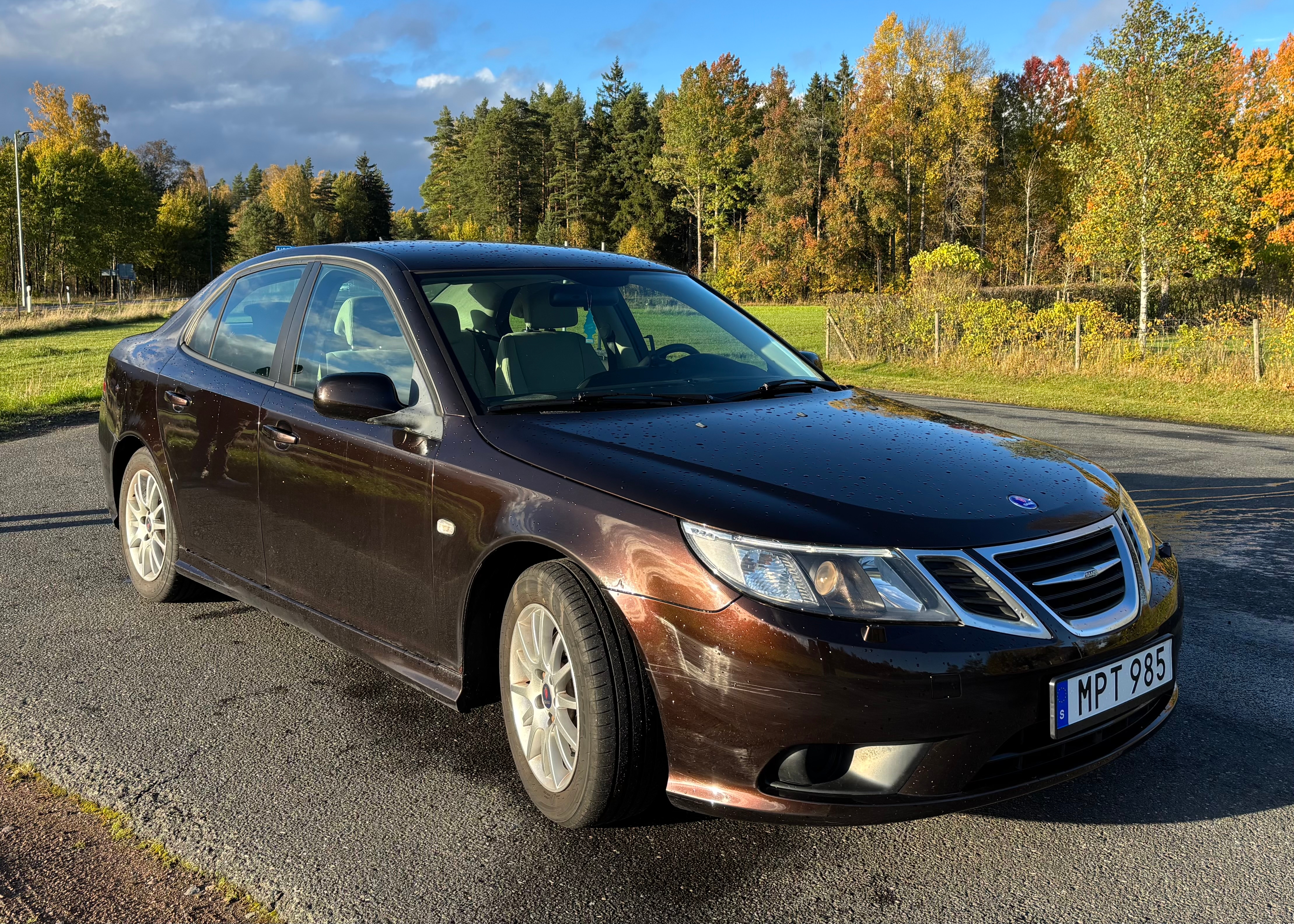 Saab 9-3 Biopower 2011, bild 6/10