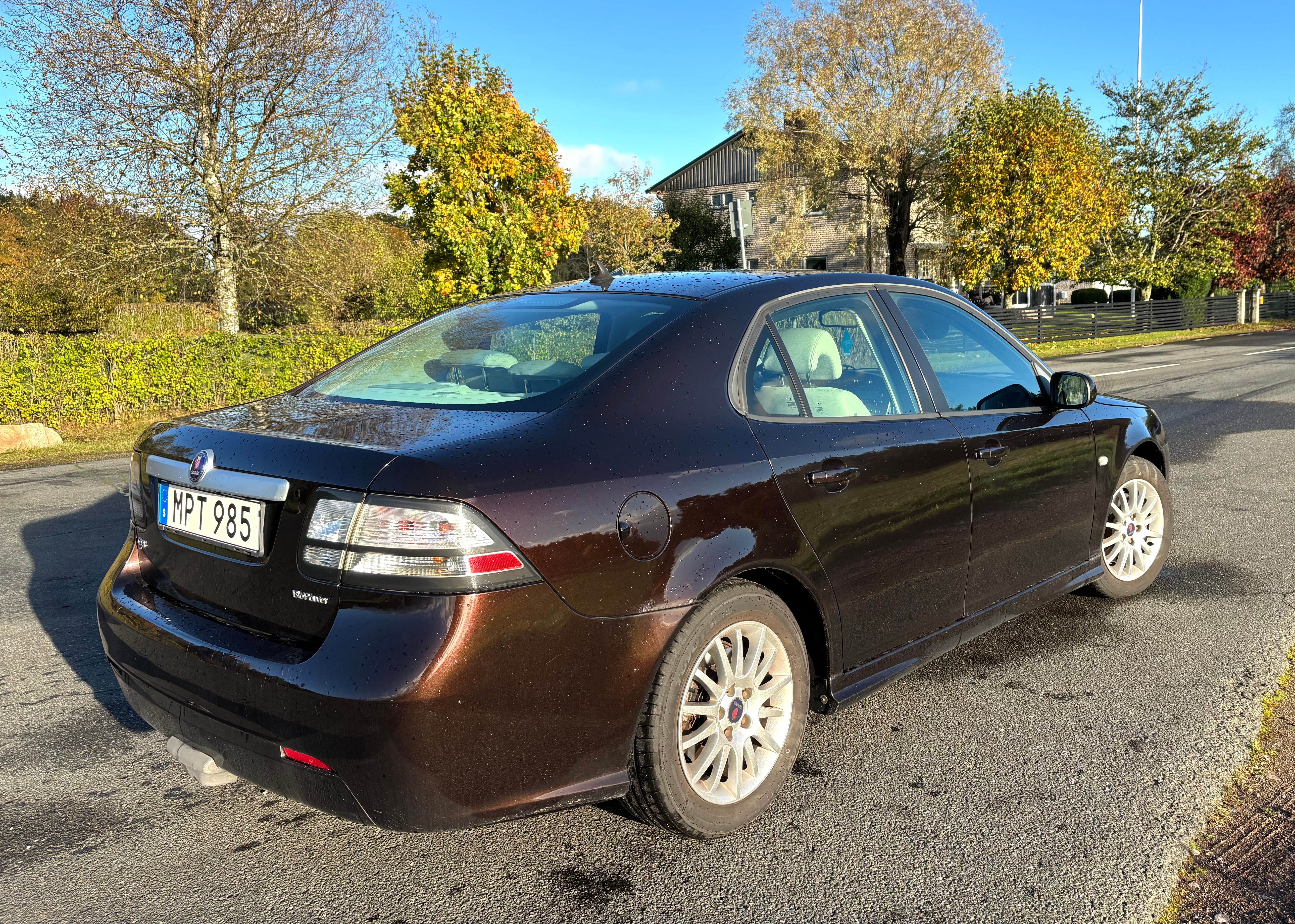Saab 9-3 Biopower 2011, bild 5/10