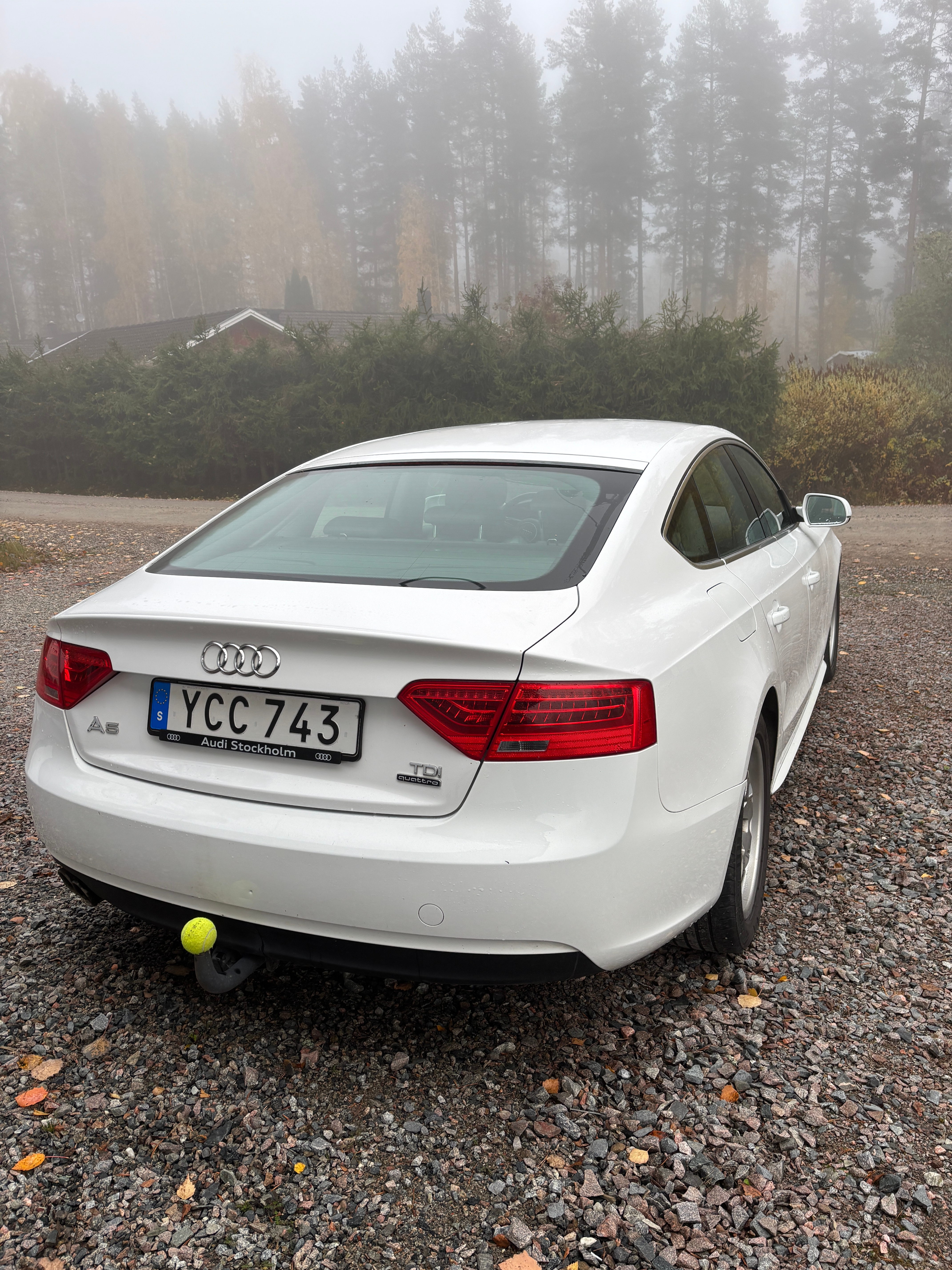 Audi A5 2.0 TDI 2016, bild 5/10