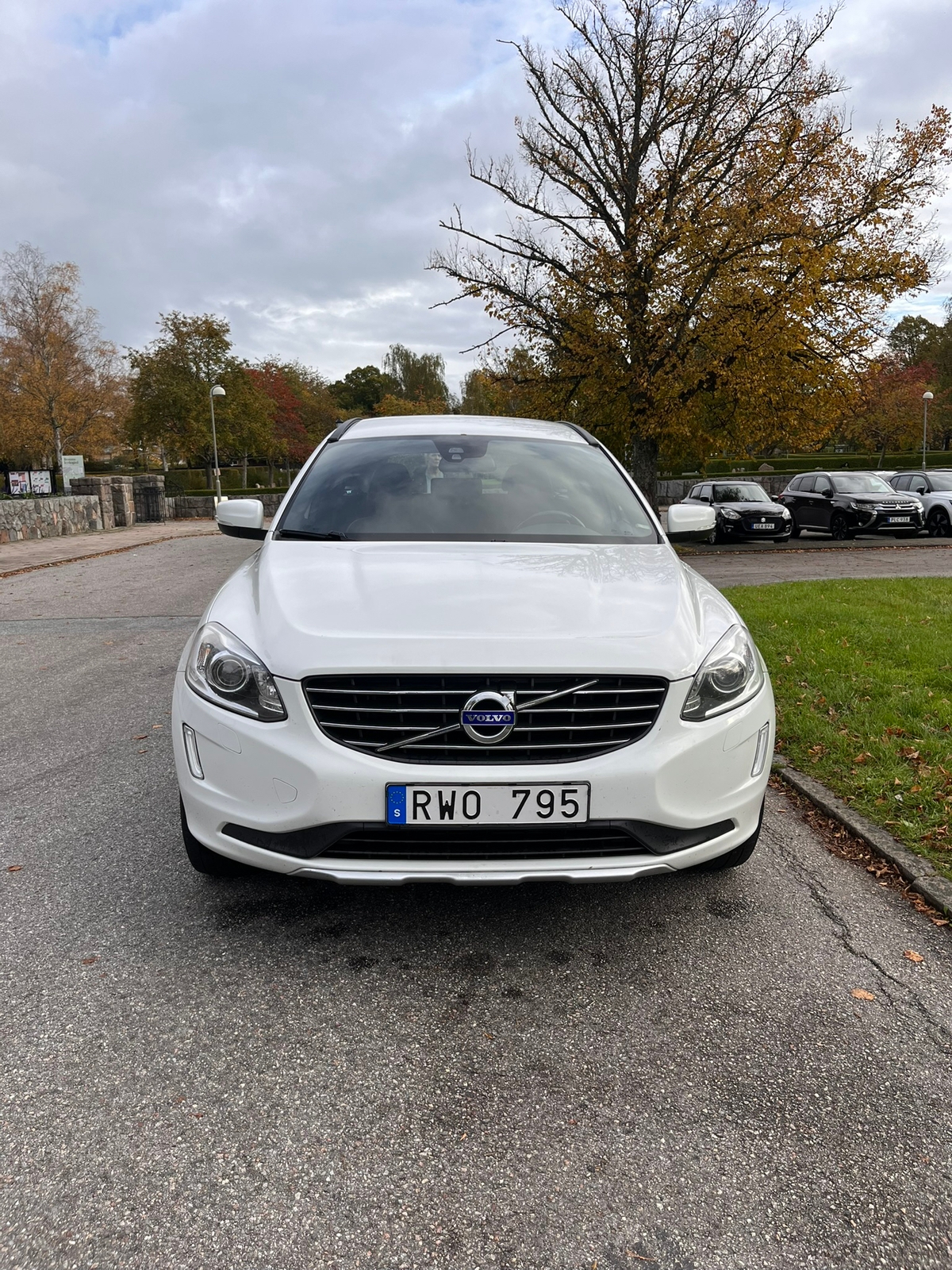 Volvo XC60 D4 2014, bild 6/10